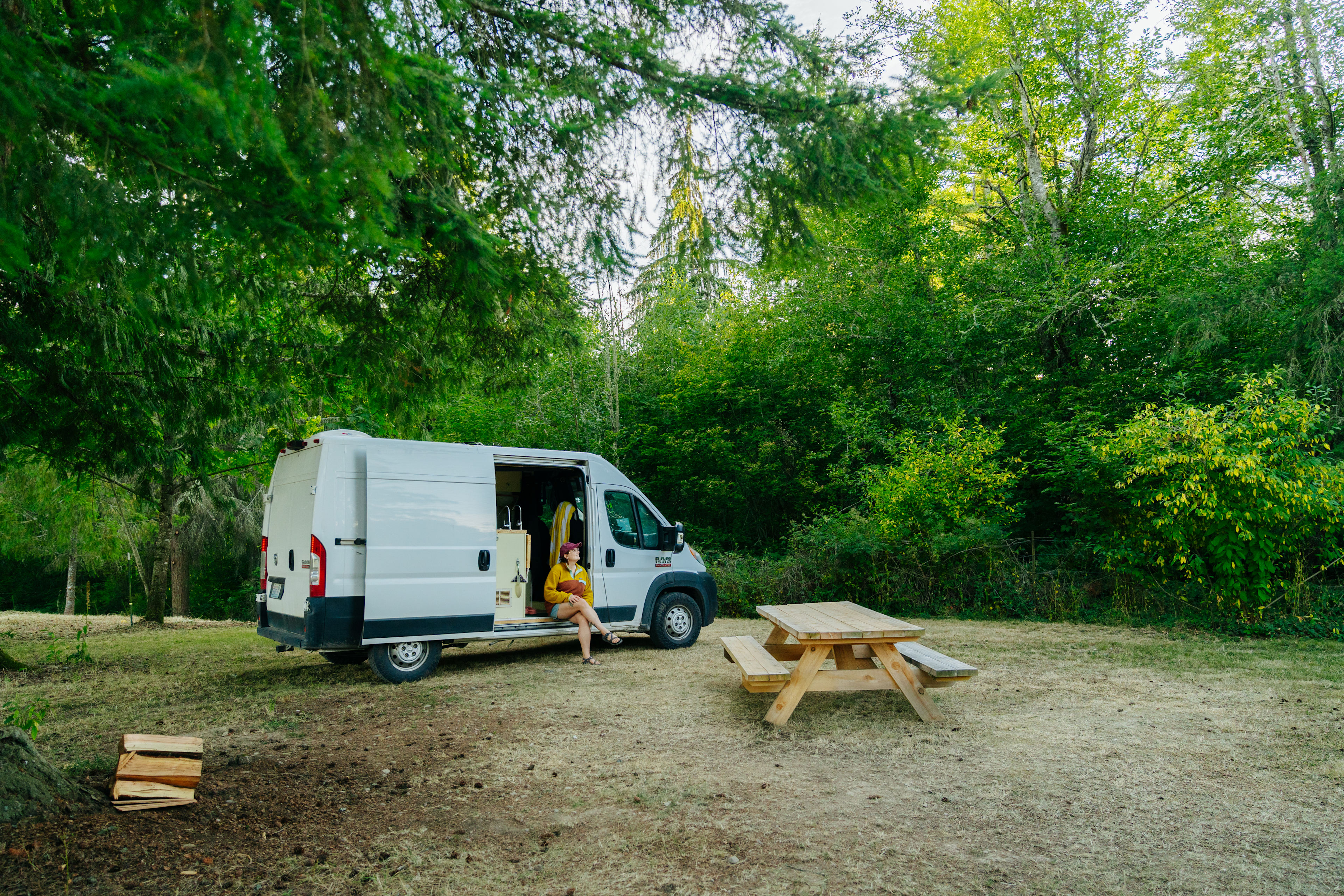 Camp Wildlife