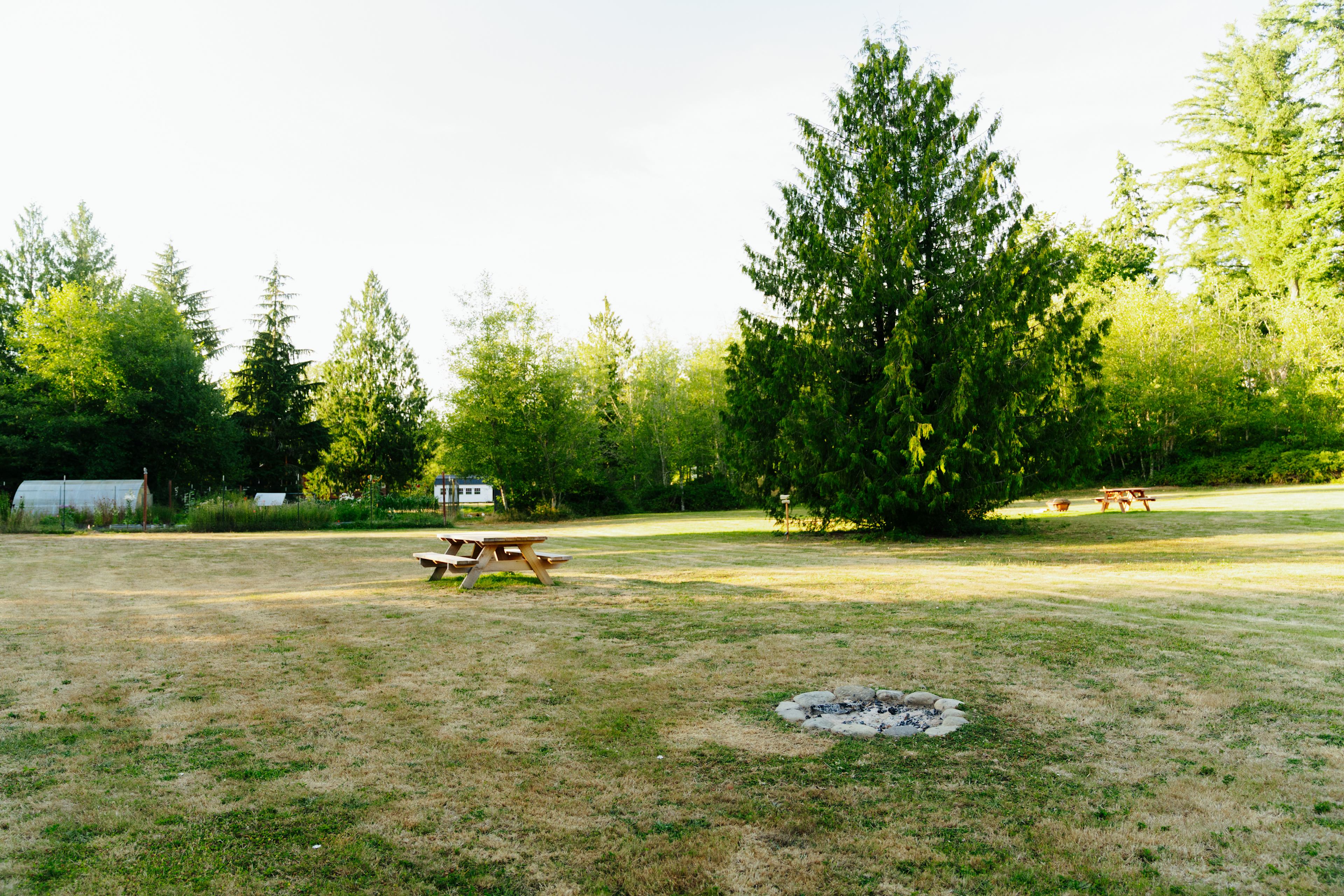 Camp Wildlife