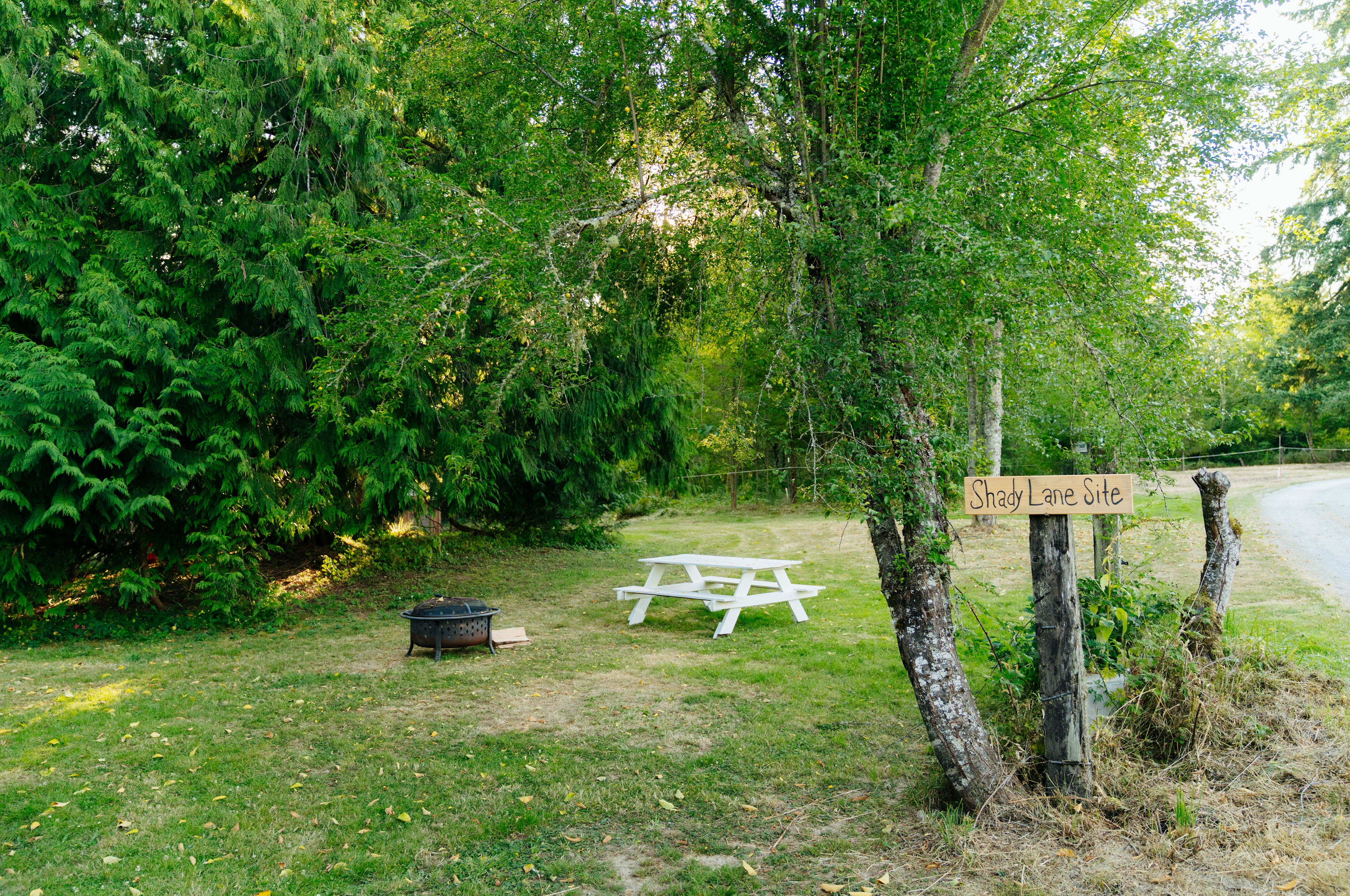 Camp Wildlife