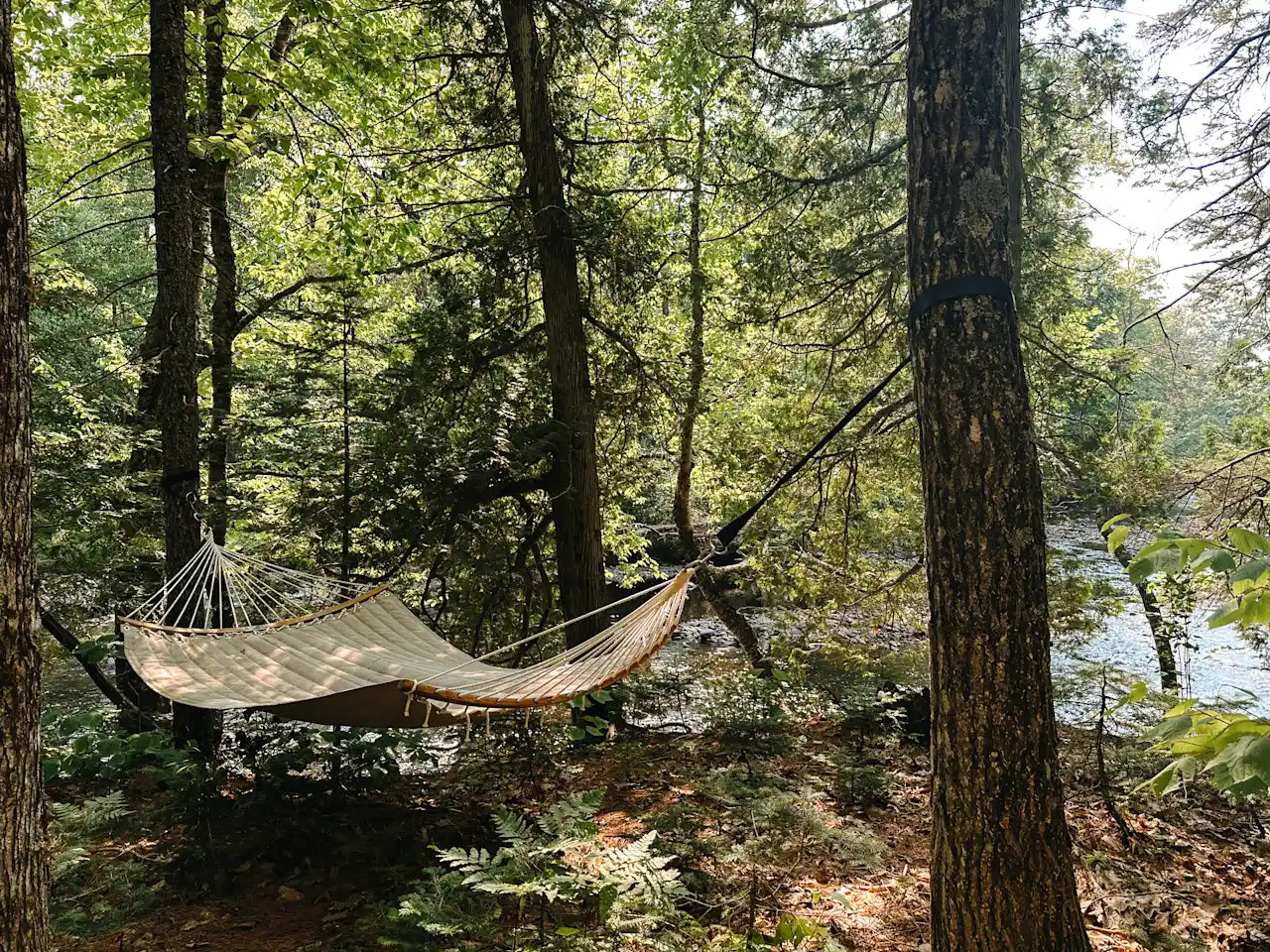 Forest Bathing Riverside Bell Tent