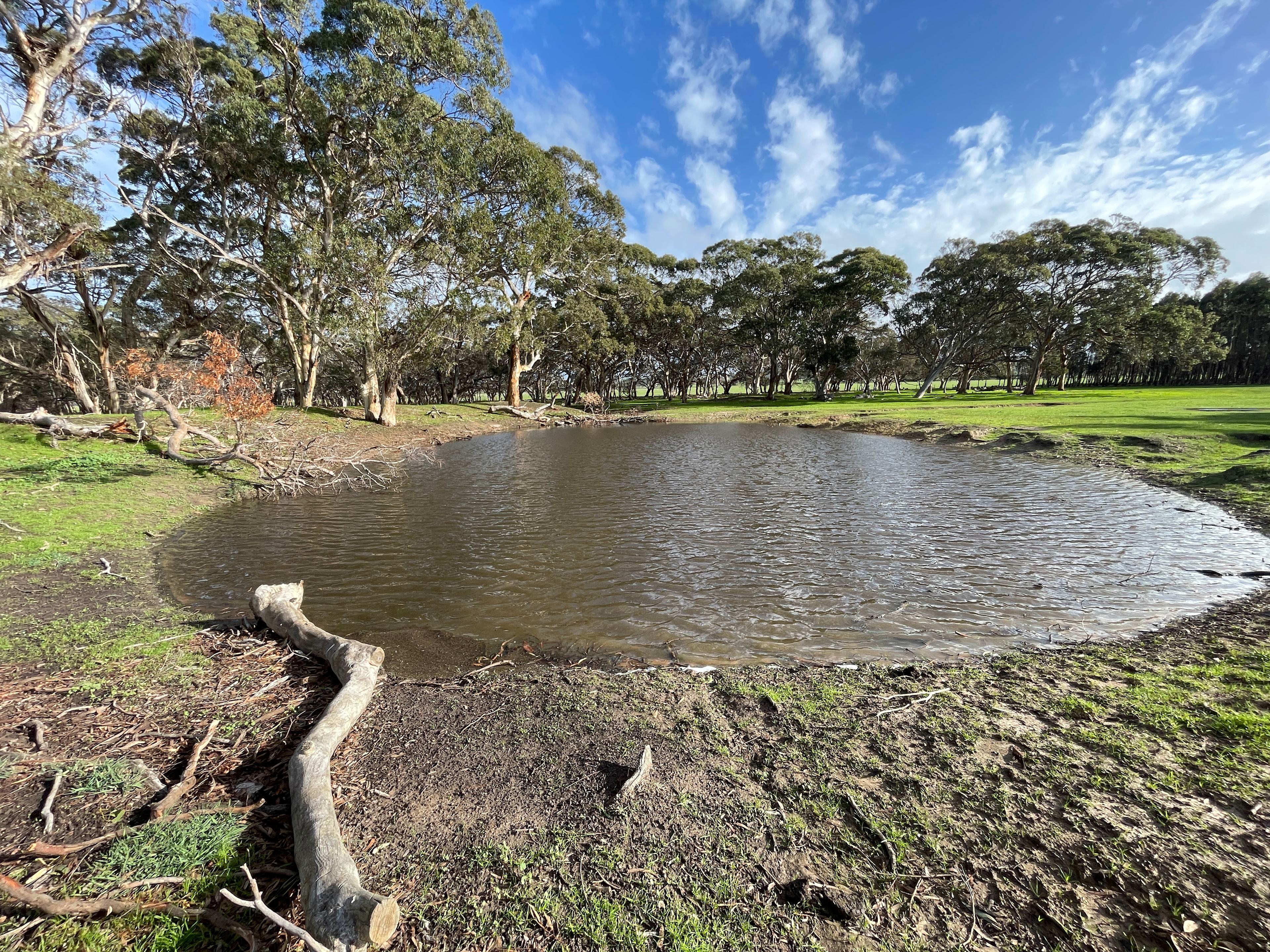Big Gum Camp