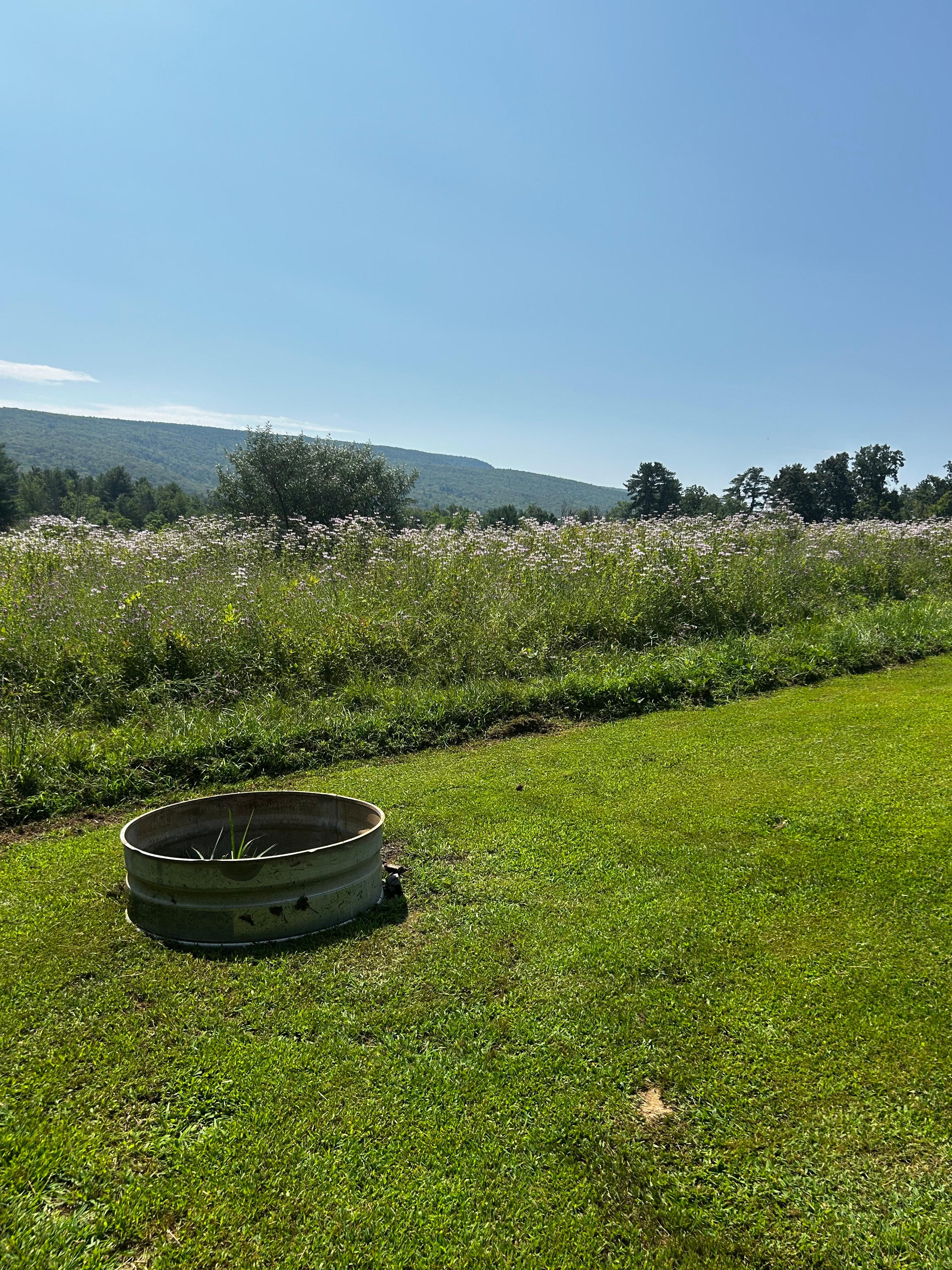 Gunx Camping On A Horse Farm!
