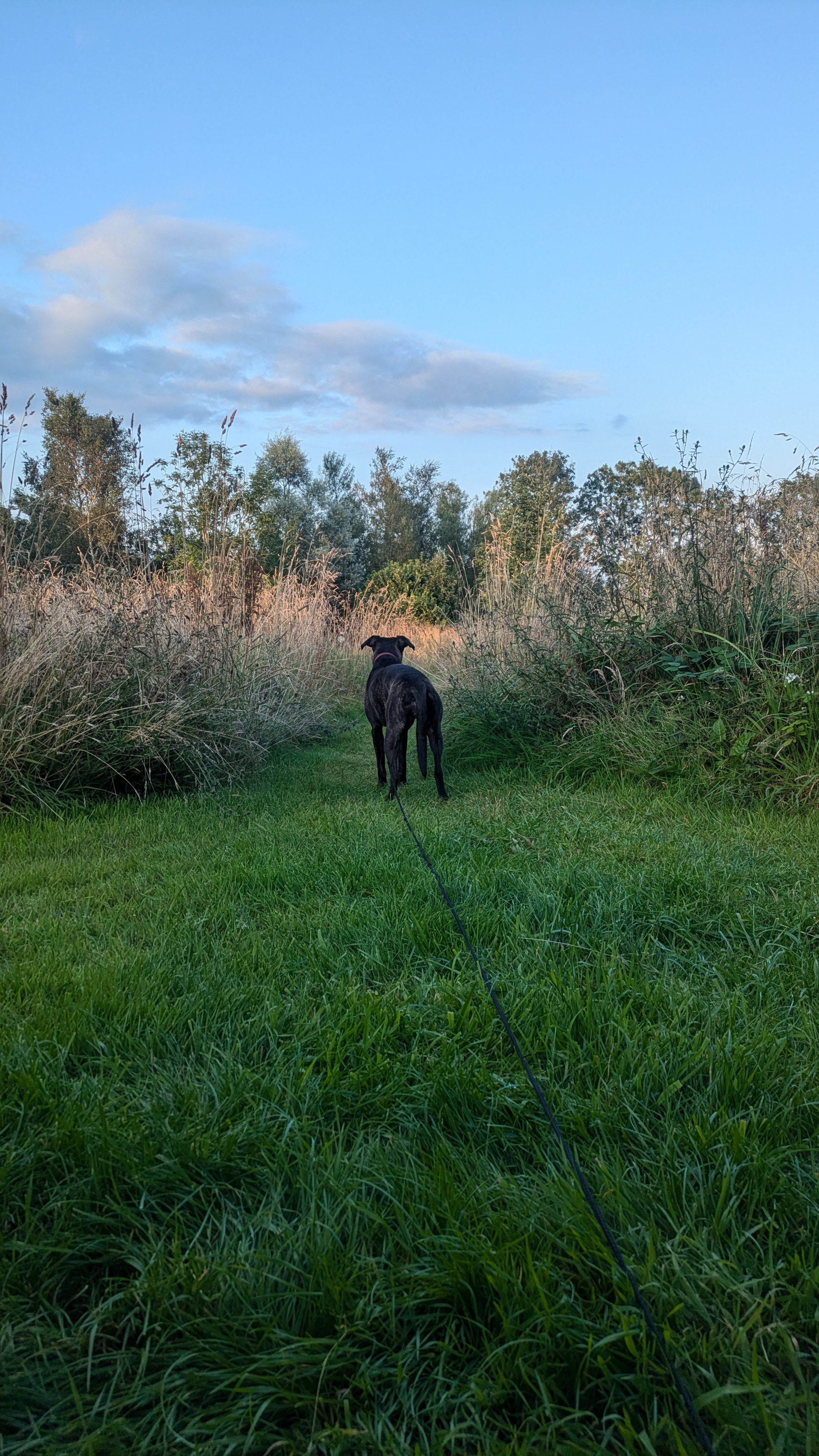 Ffynnonwen Off-Grid Camping