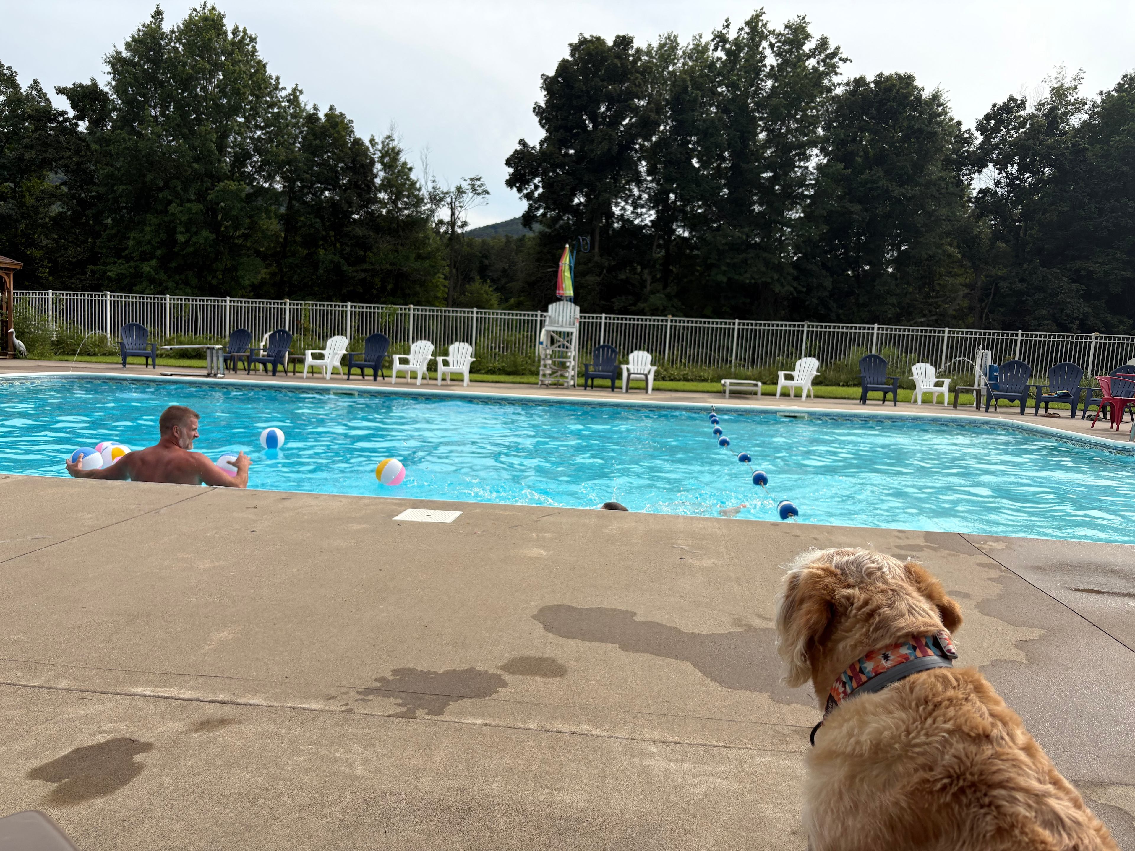 Salt water pool 