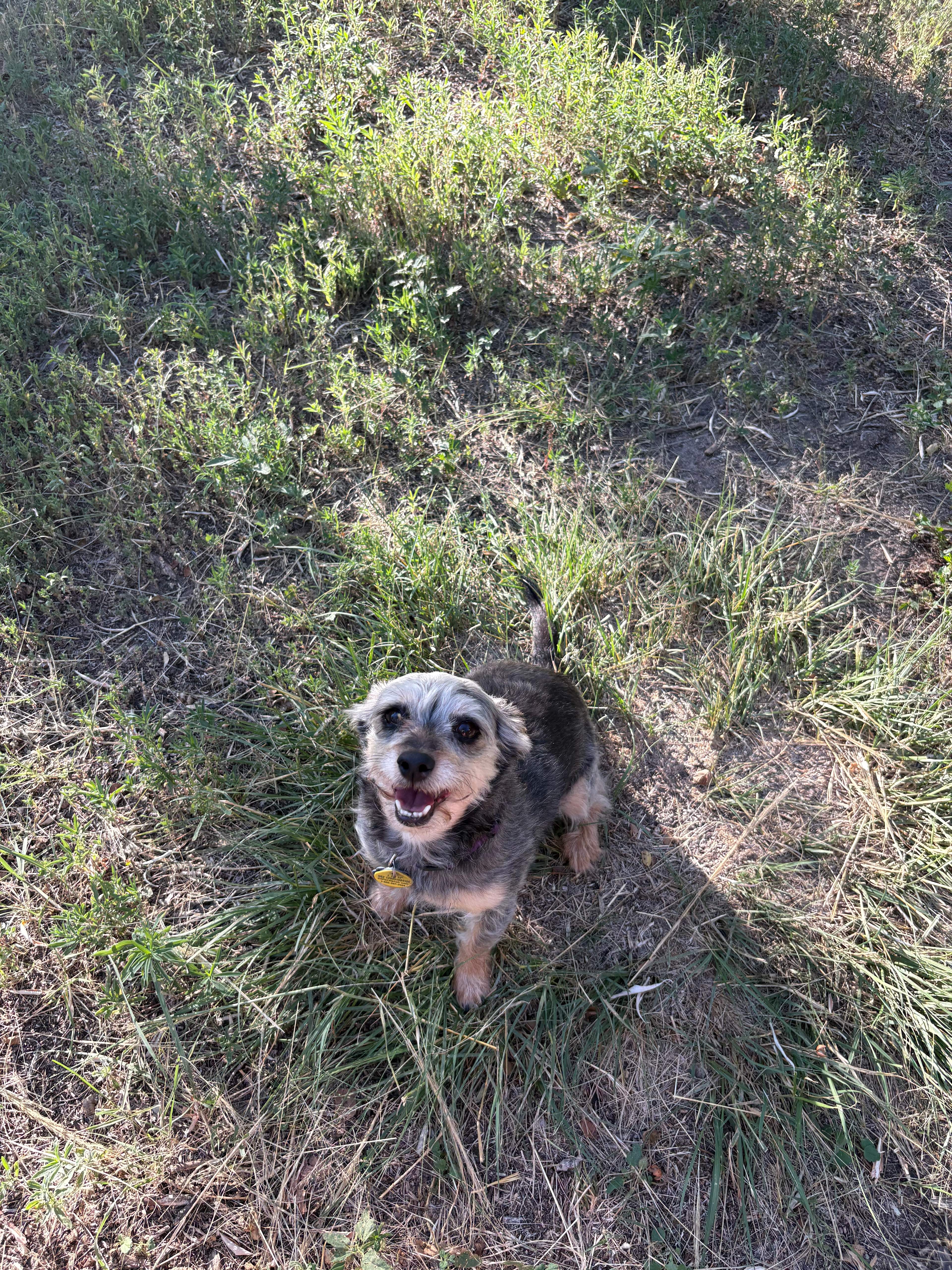 Rancho Algo Mas