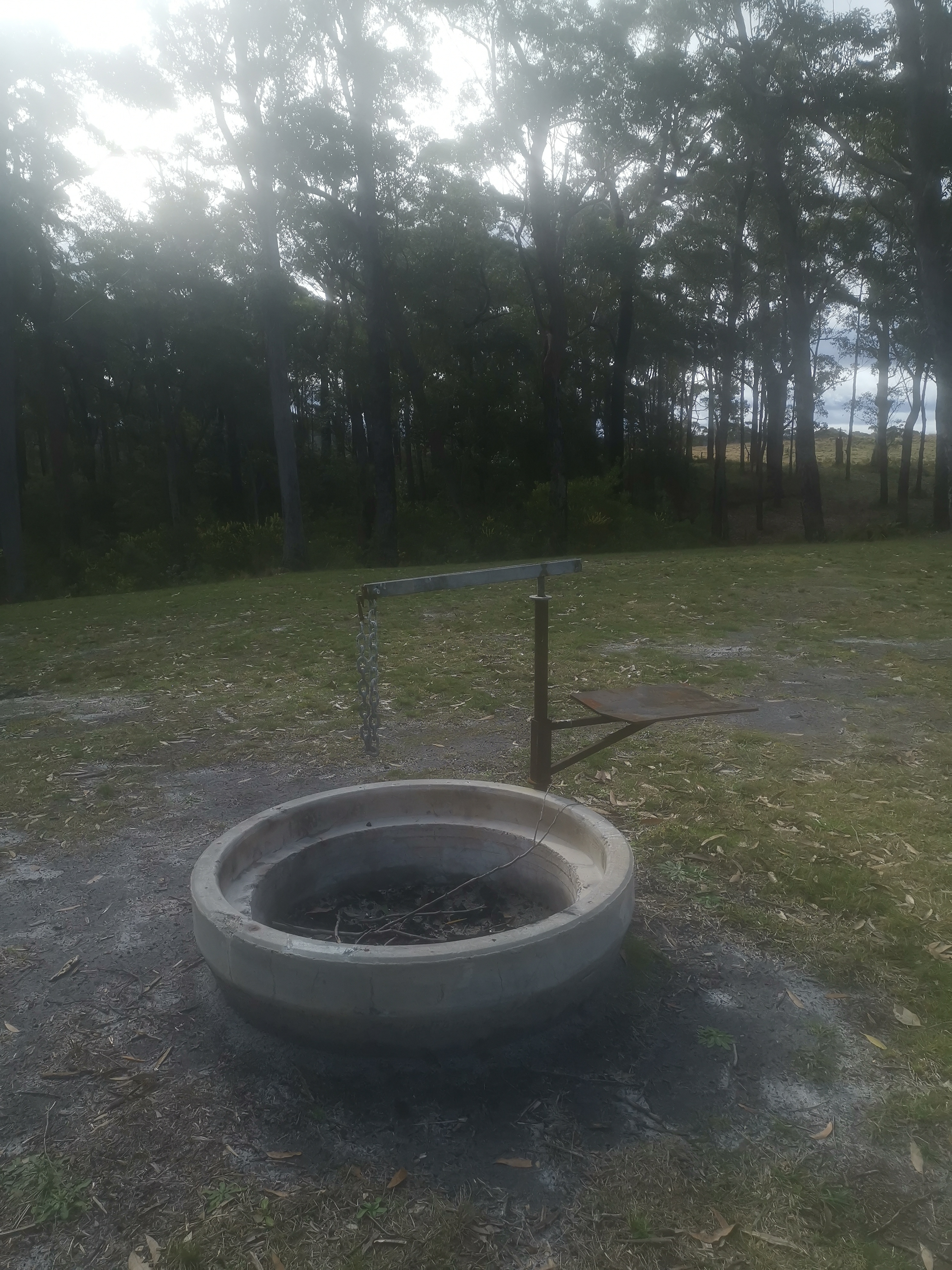 Secluded Konda Blueberry Farm