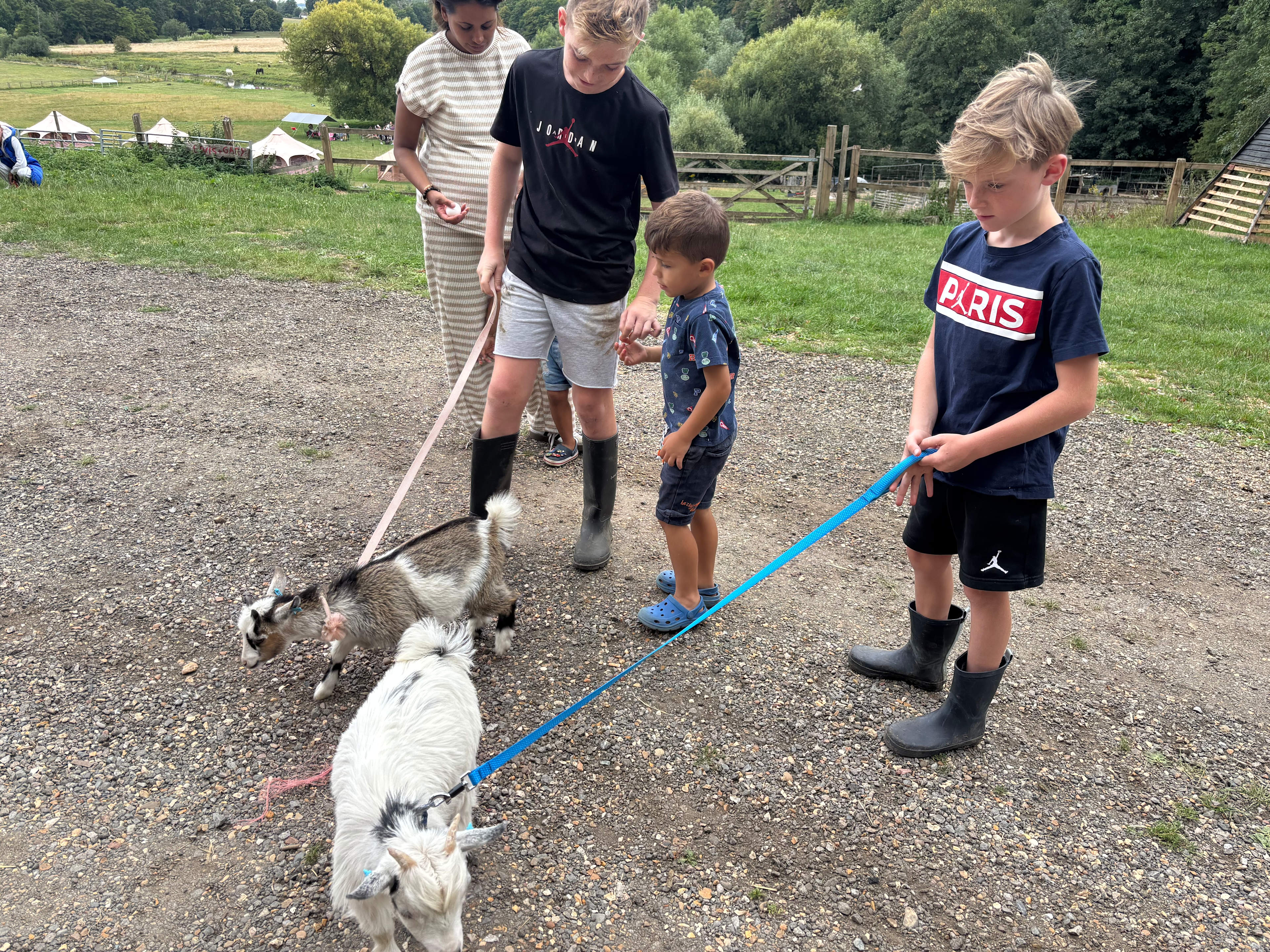 Farm stay belltent with activities
