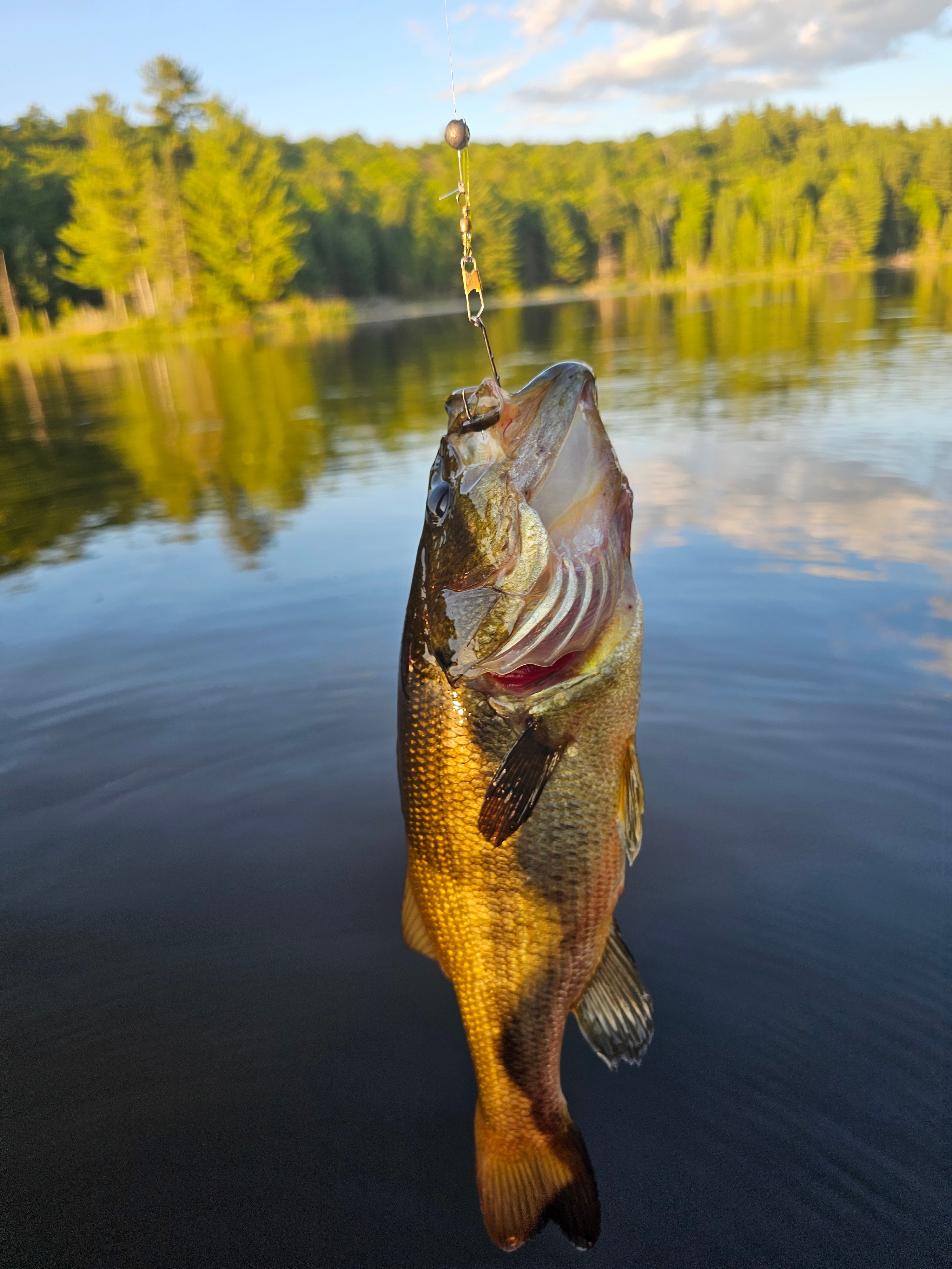 Ball Lake Tent Camping