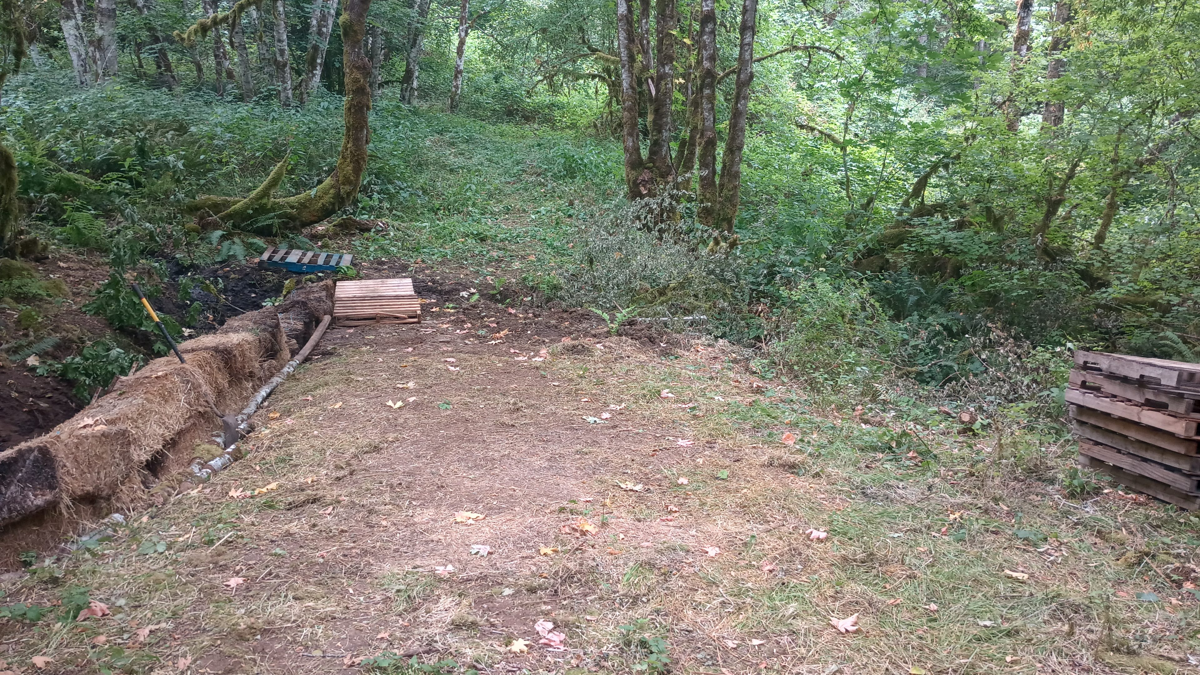 Forested Refuge @ Marley's Crossing