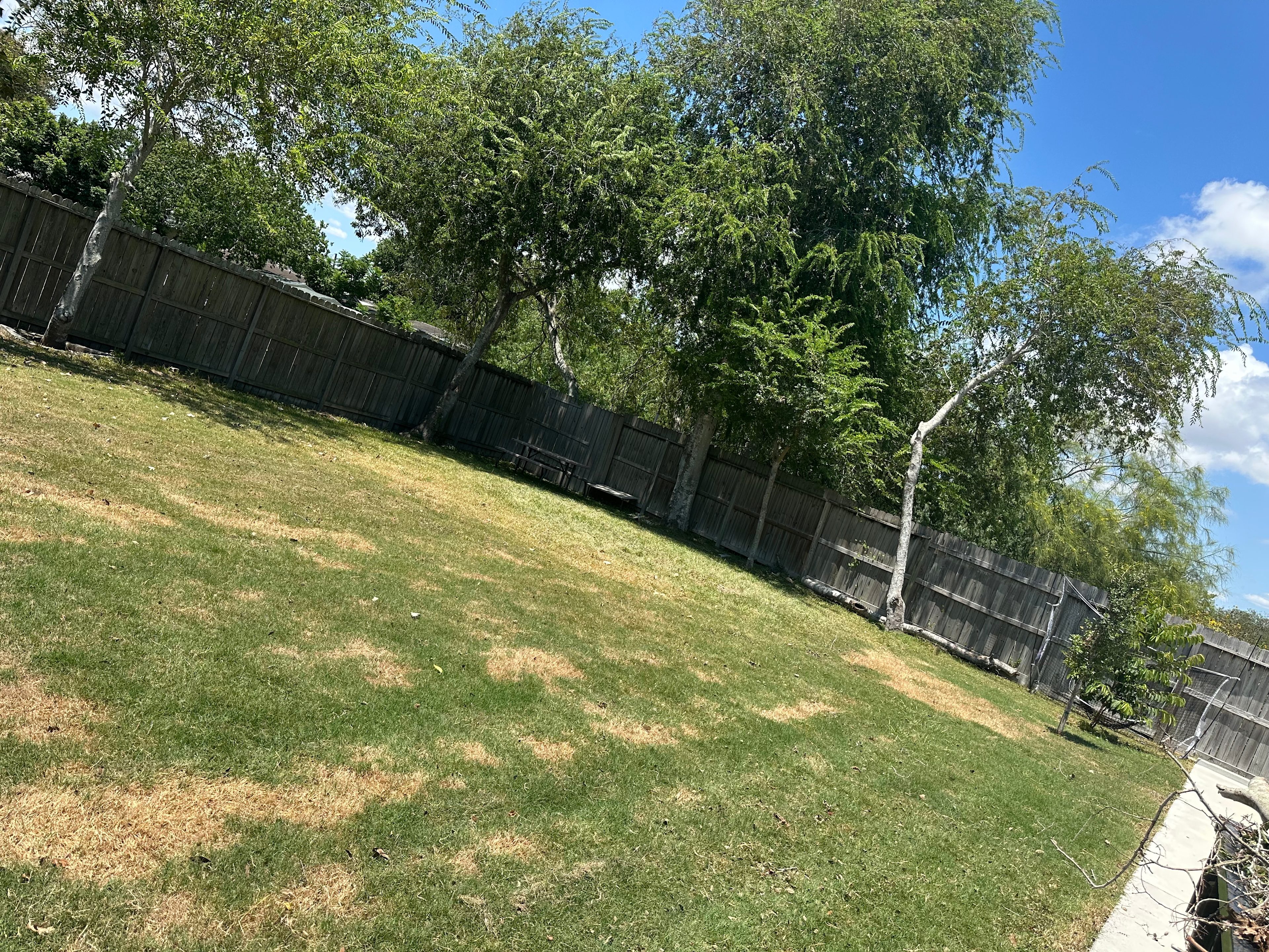 Manhattan Park