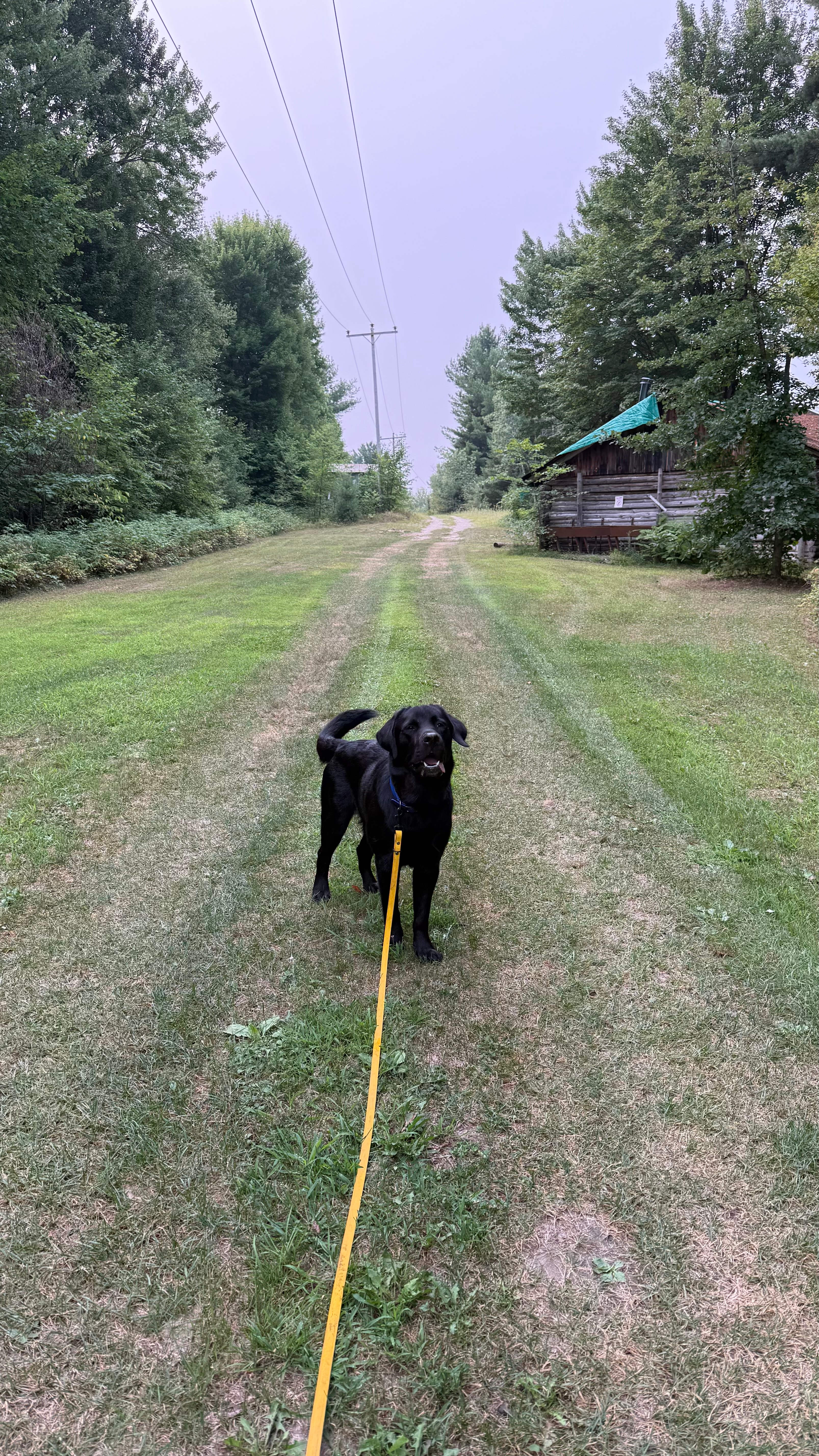 Whispering Pines - Curran, Ontario