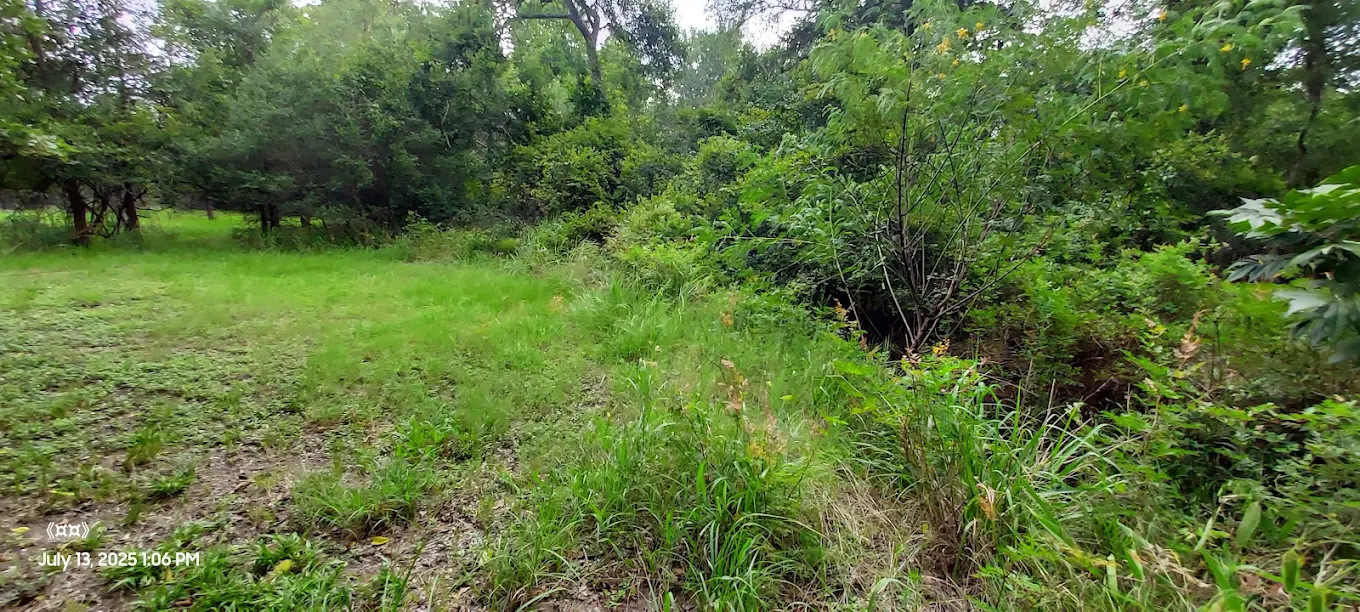 Bluebonnet Campground