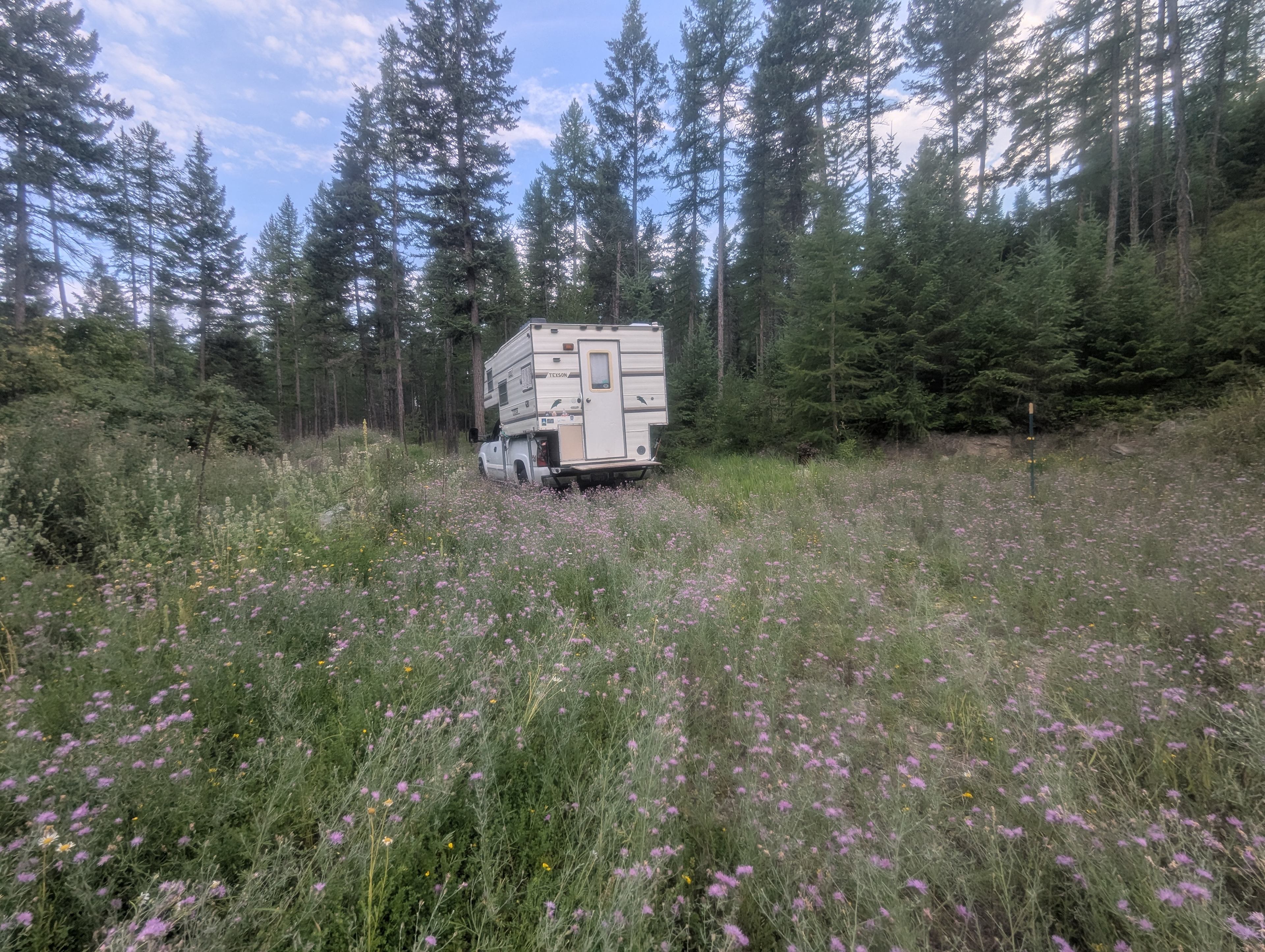 Lone Bear Acres