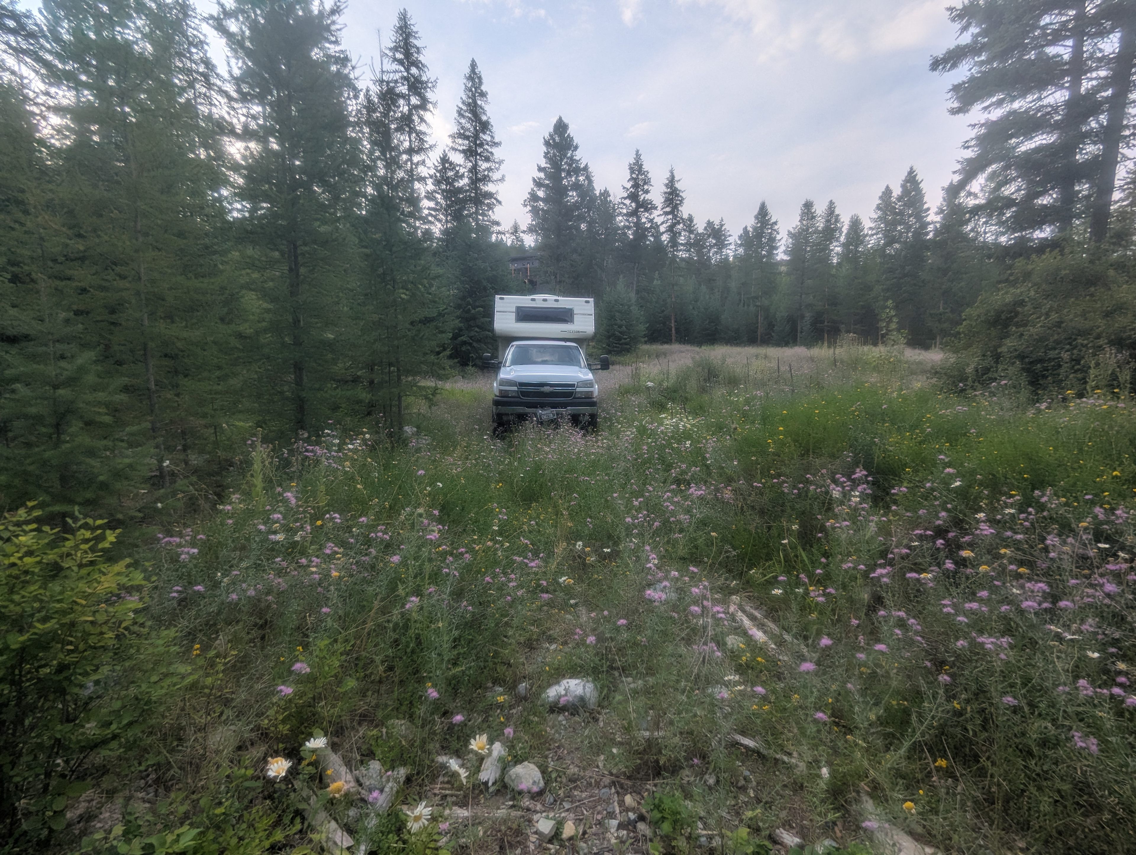 Lone Bear Acres
