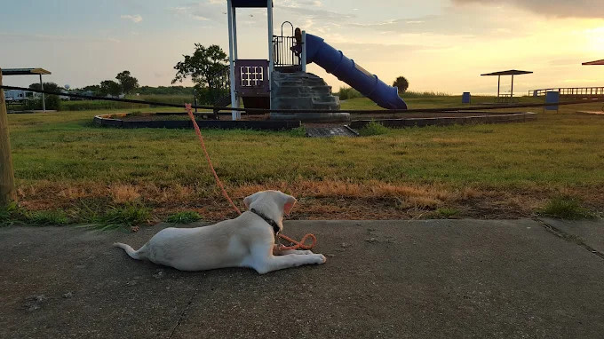 Pleasure Island RV Park