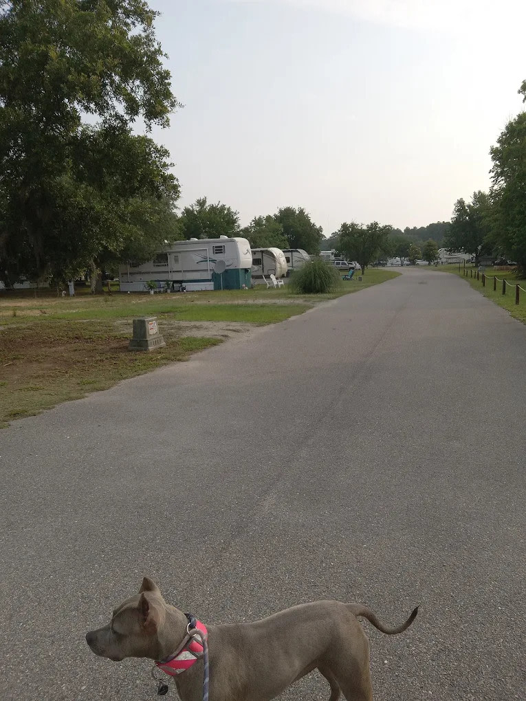 Harbor Point RV Community