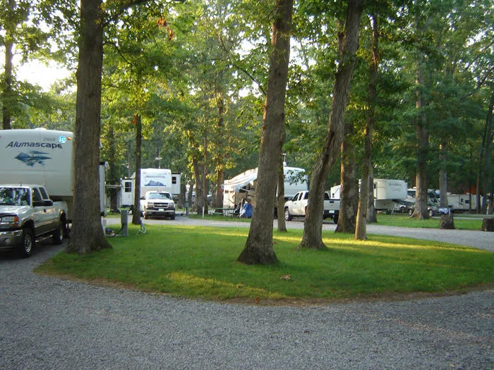 Whittington Woods Camp