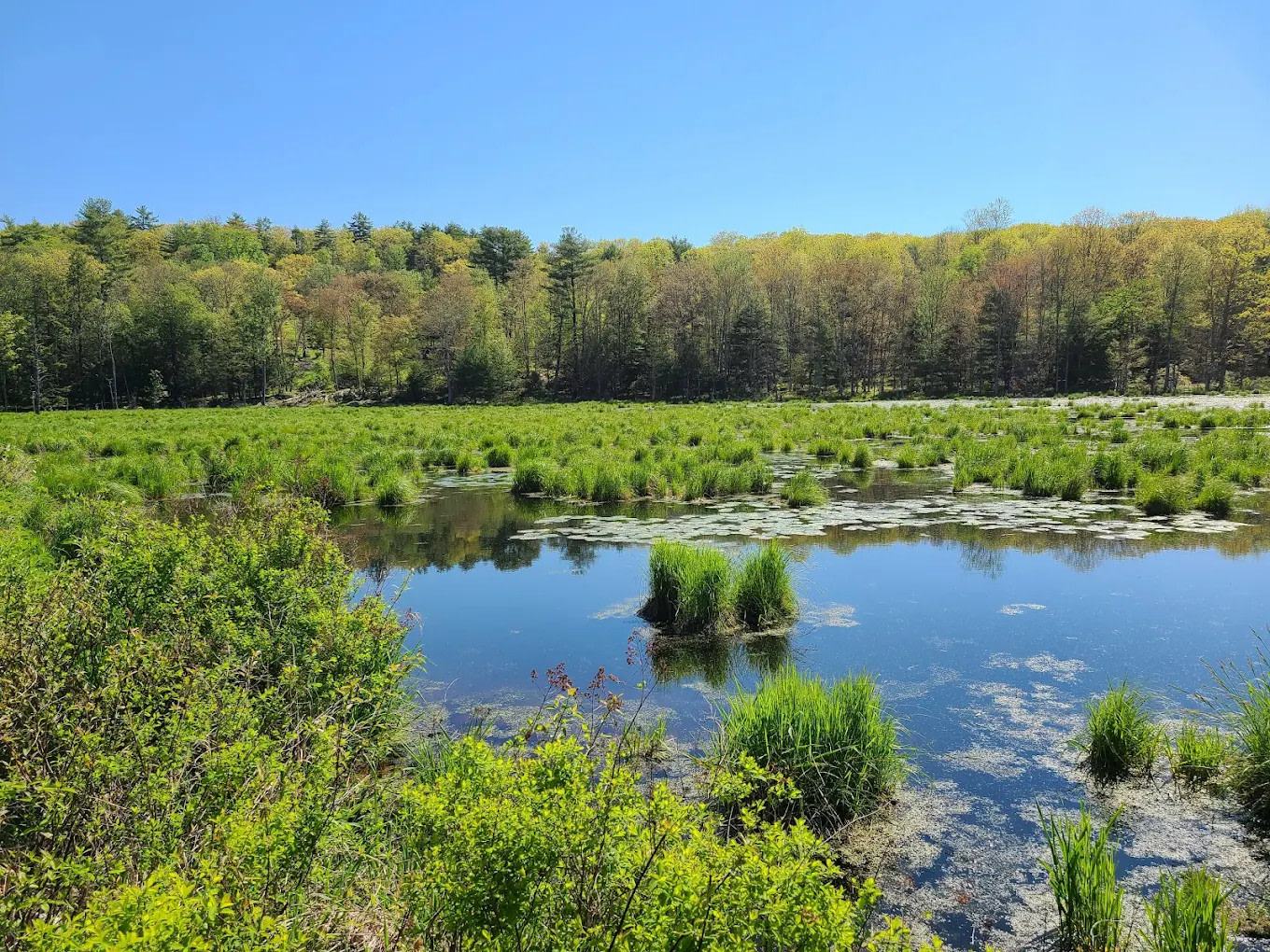 Lake Moc-A-Tek Campground