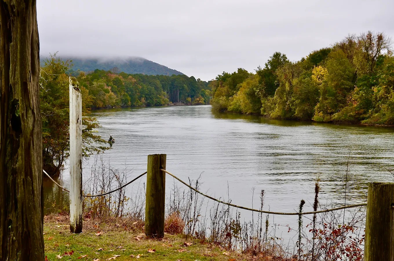 Ditto Landing Marina & Campground