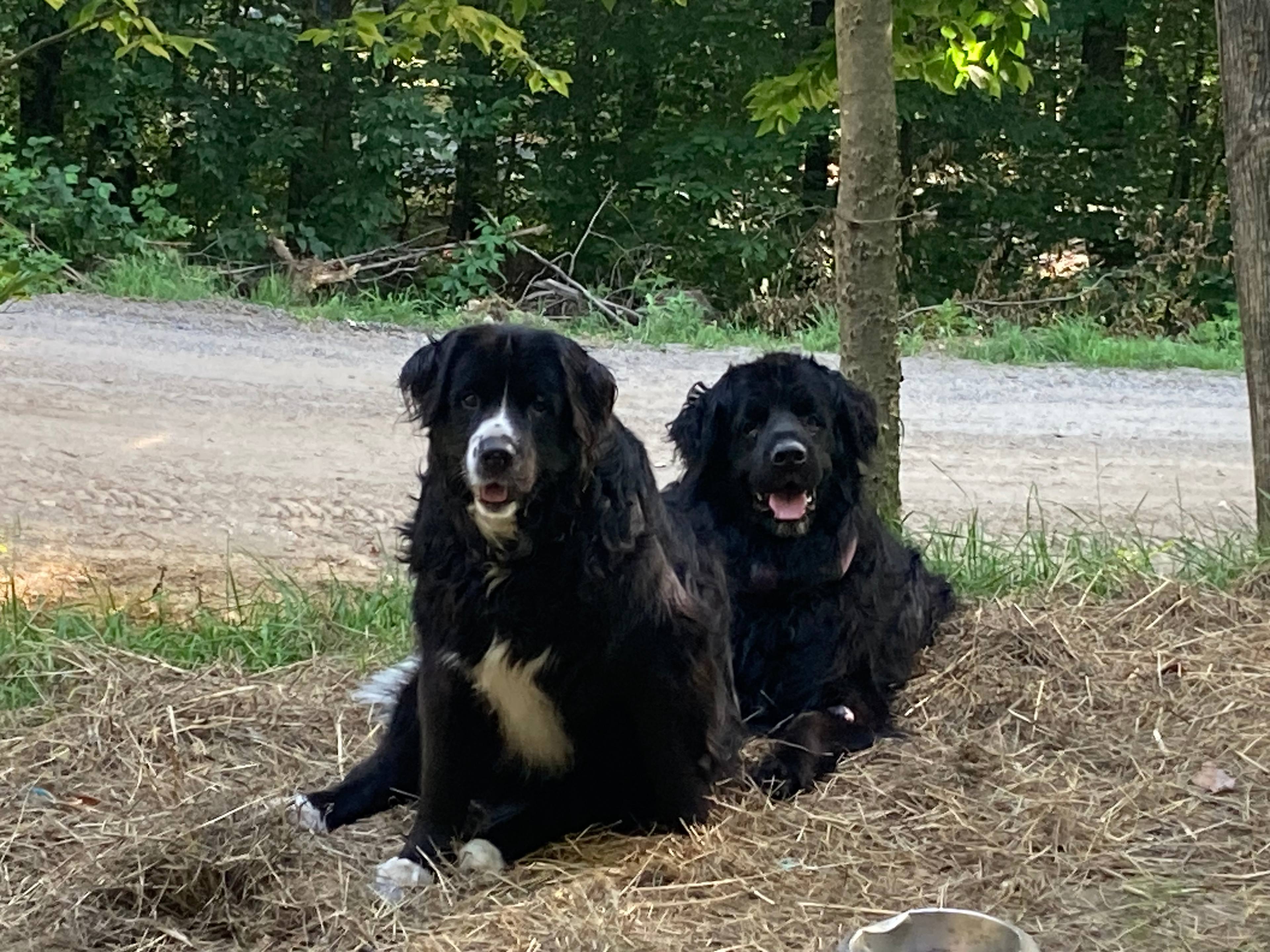 Wendy’s Woods on the Kingdom Trails