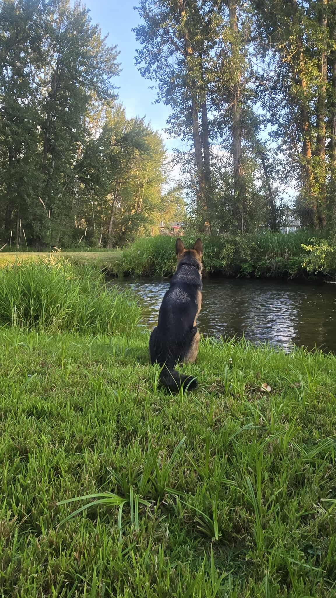 Little Spokane Riverside Retreat