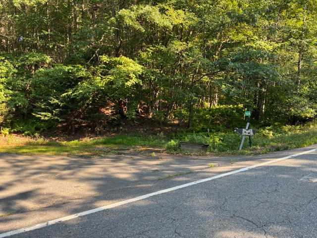 This is the driveway with the property number on the right side of the photo. 