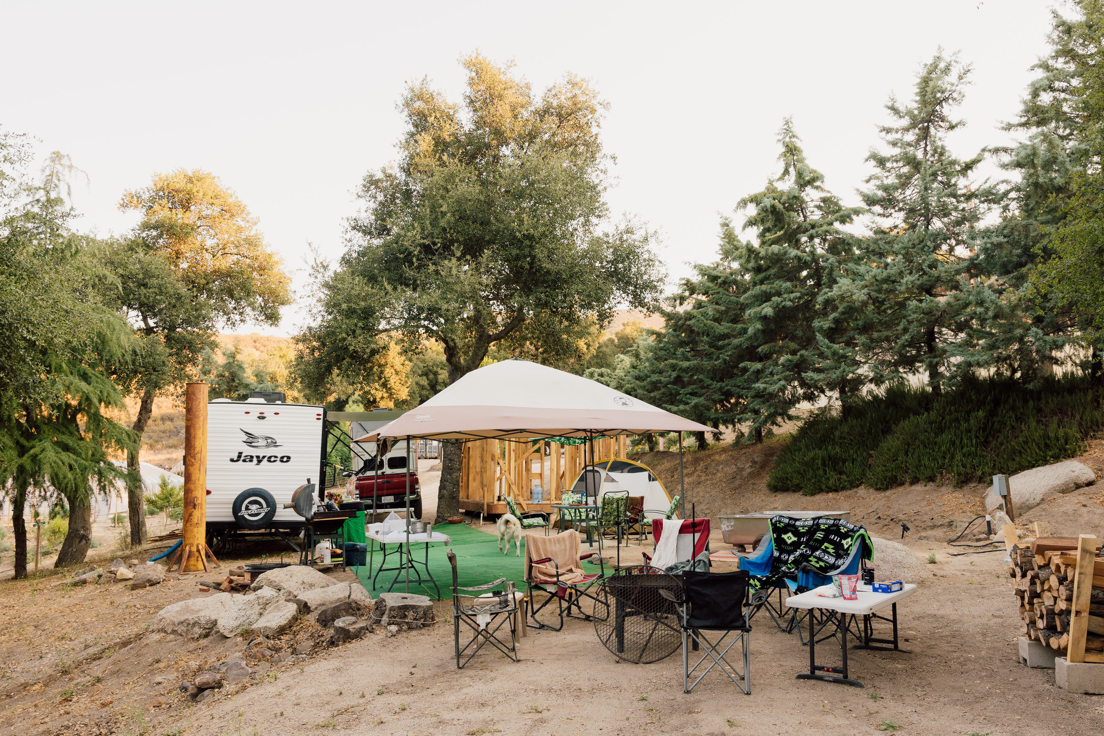 Full view of the site