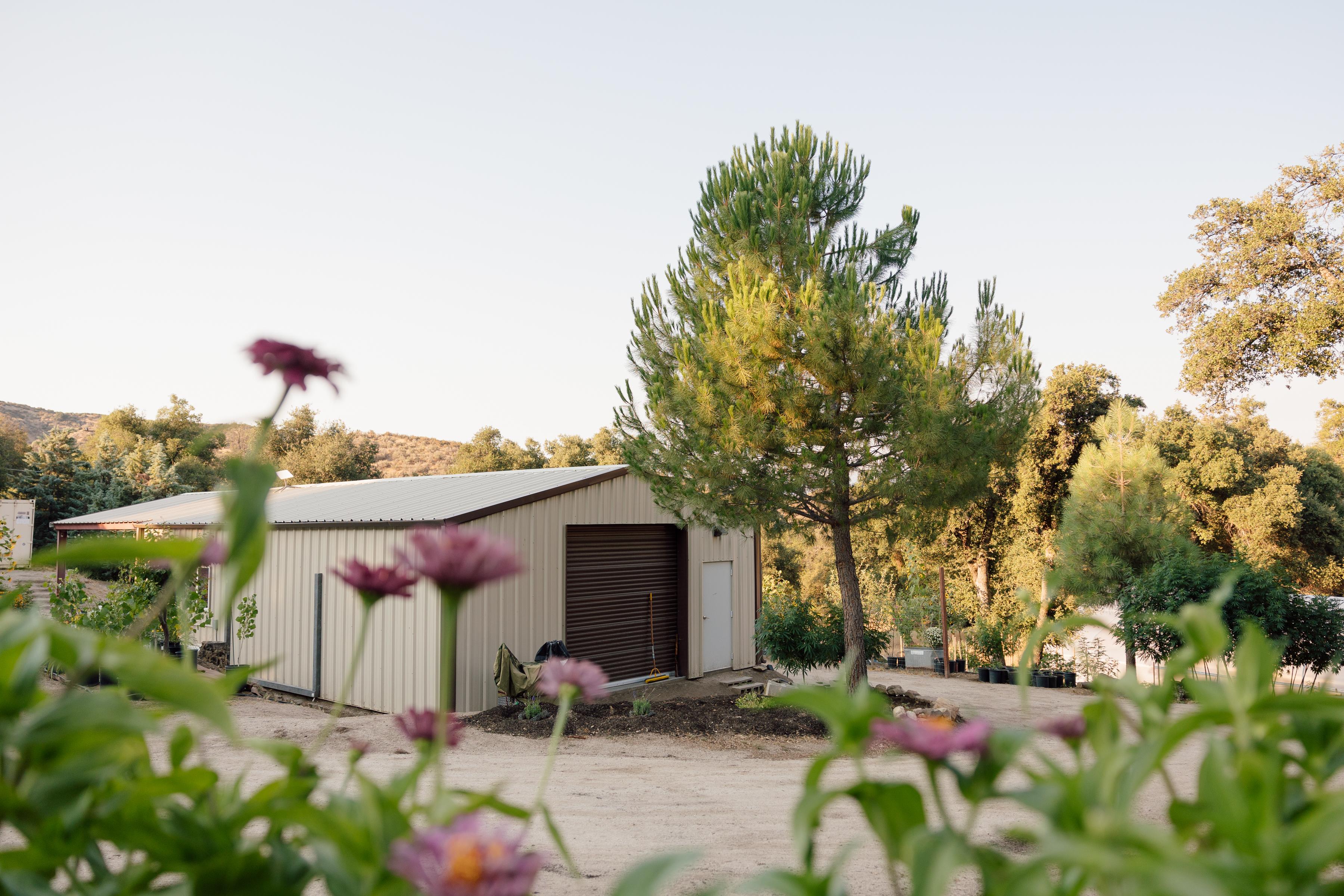 The farm's cannabis dispensary 