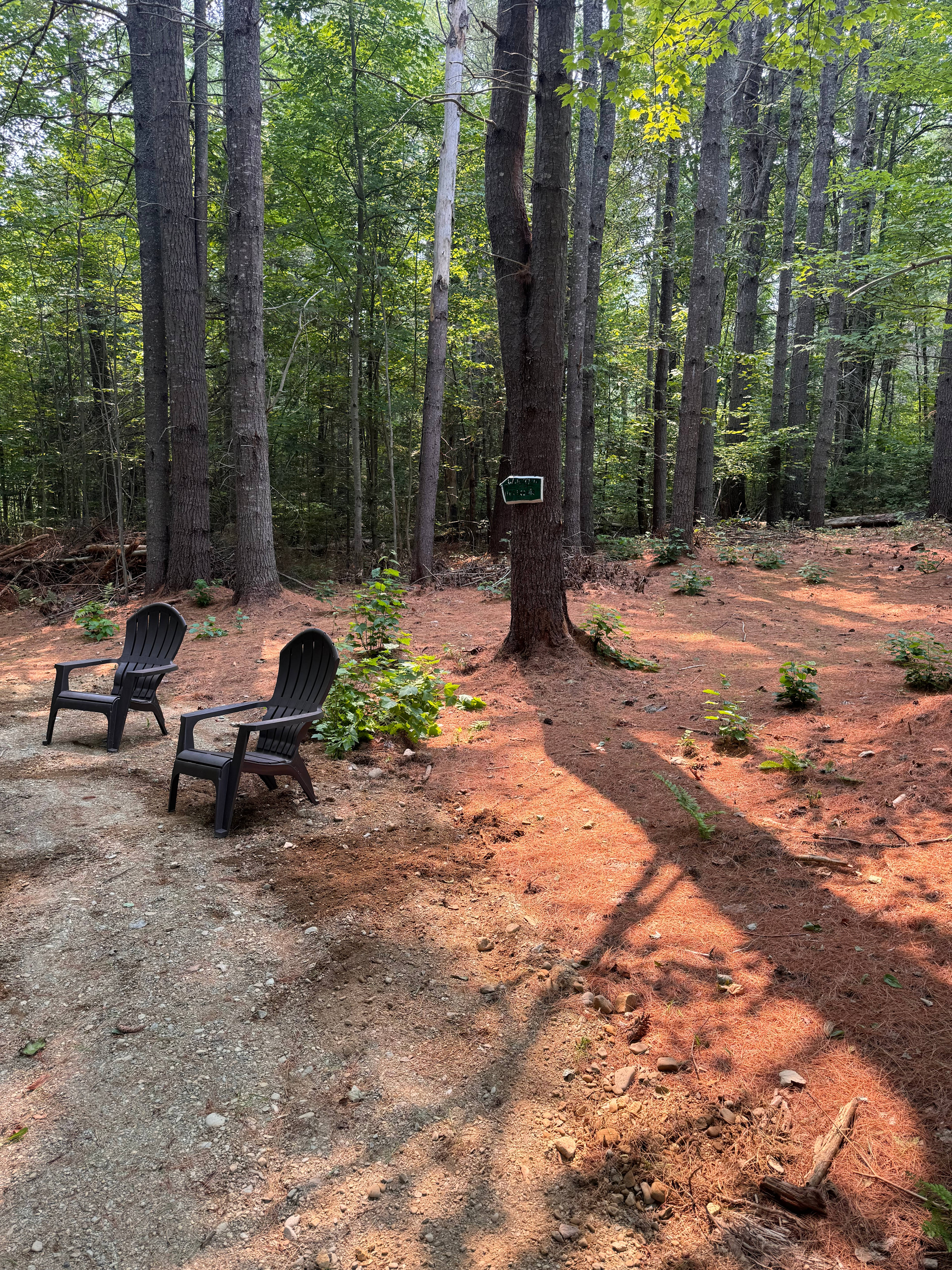 Big Pine Camps