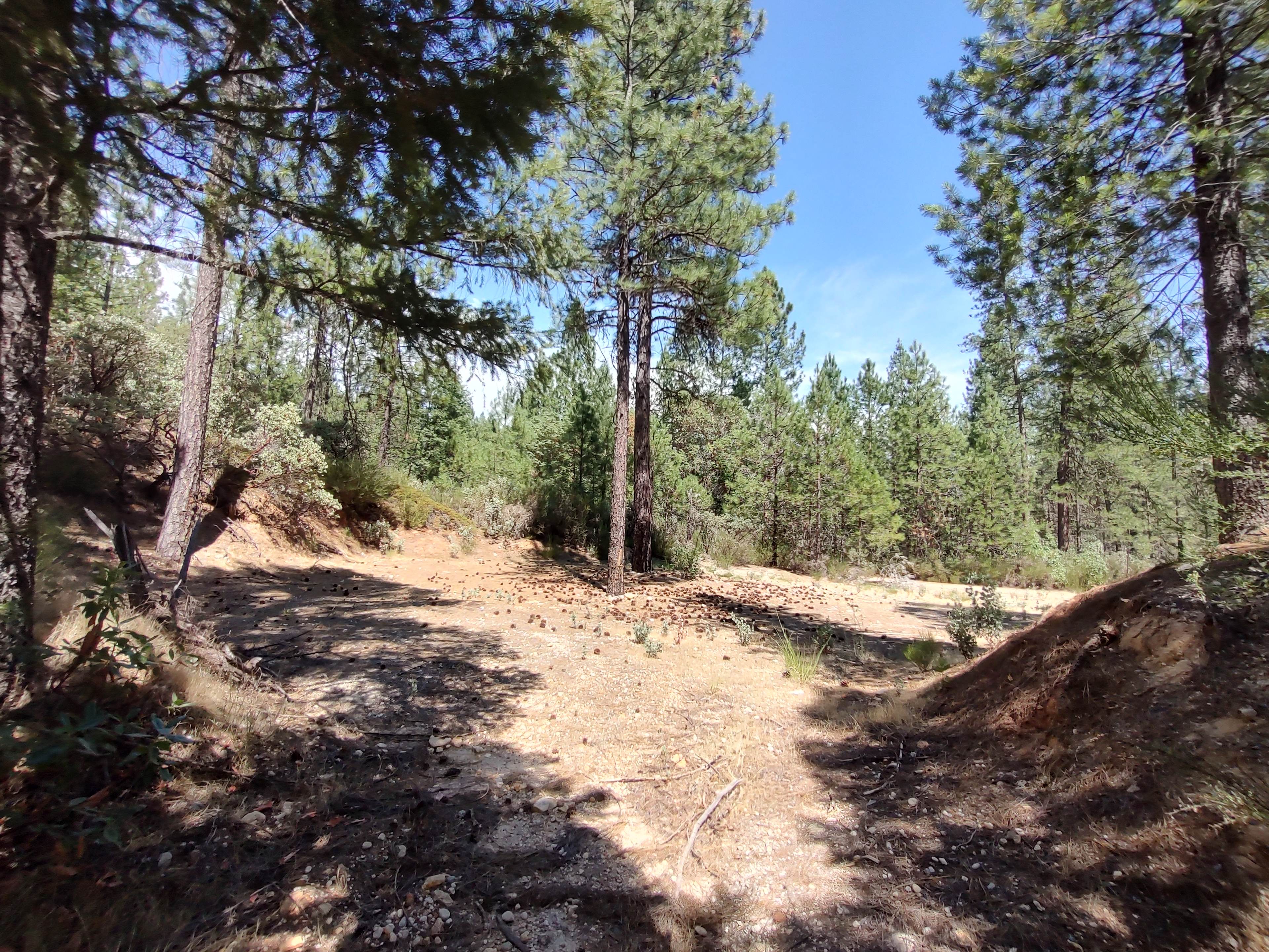 Golden Creek campground