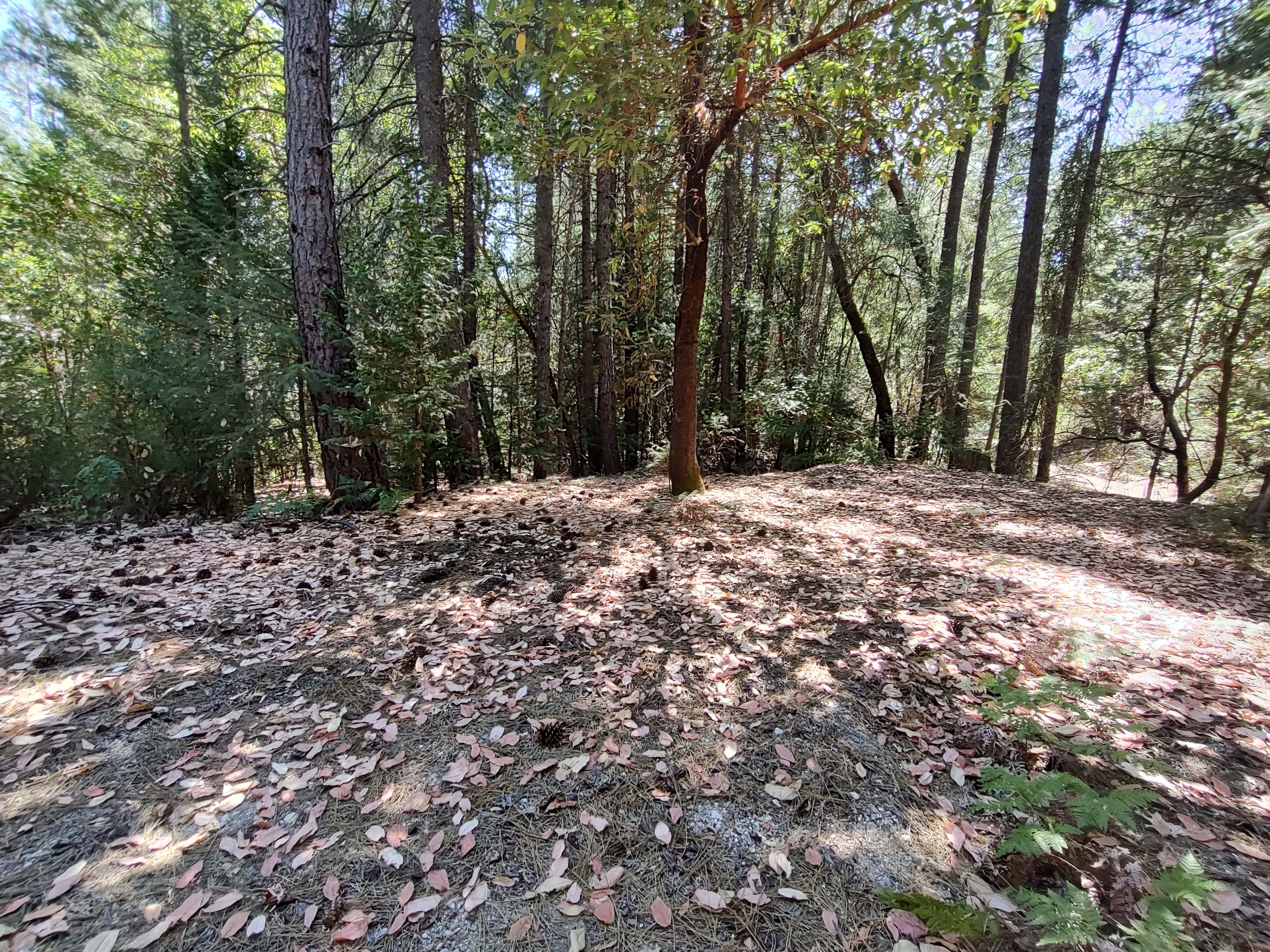 Golden Creek campground