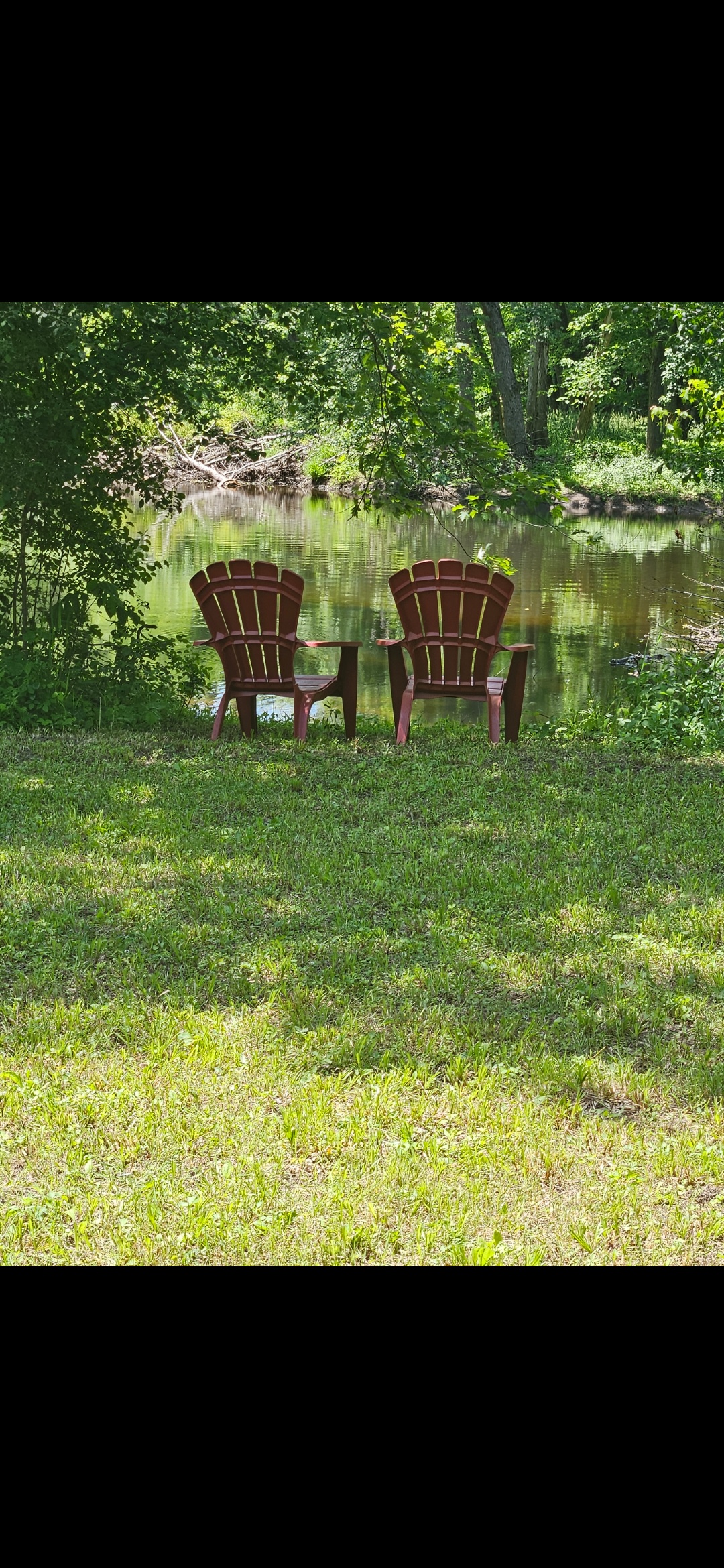 Salmon River Sanctuary