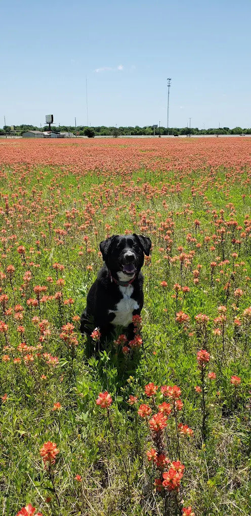 Bruceville Eddy RV Park