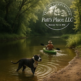 Patt's Place, LLC