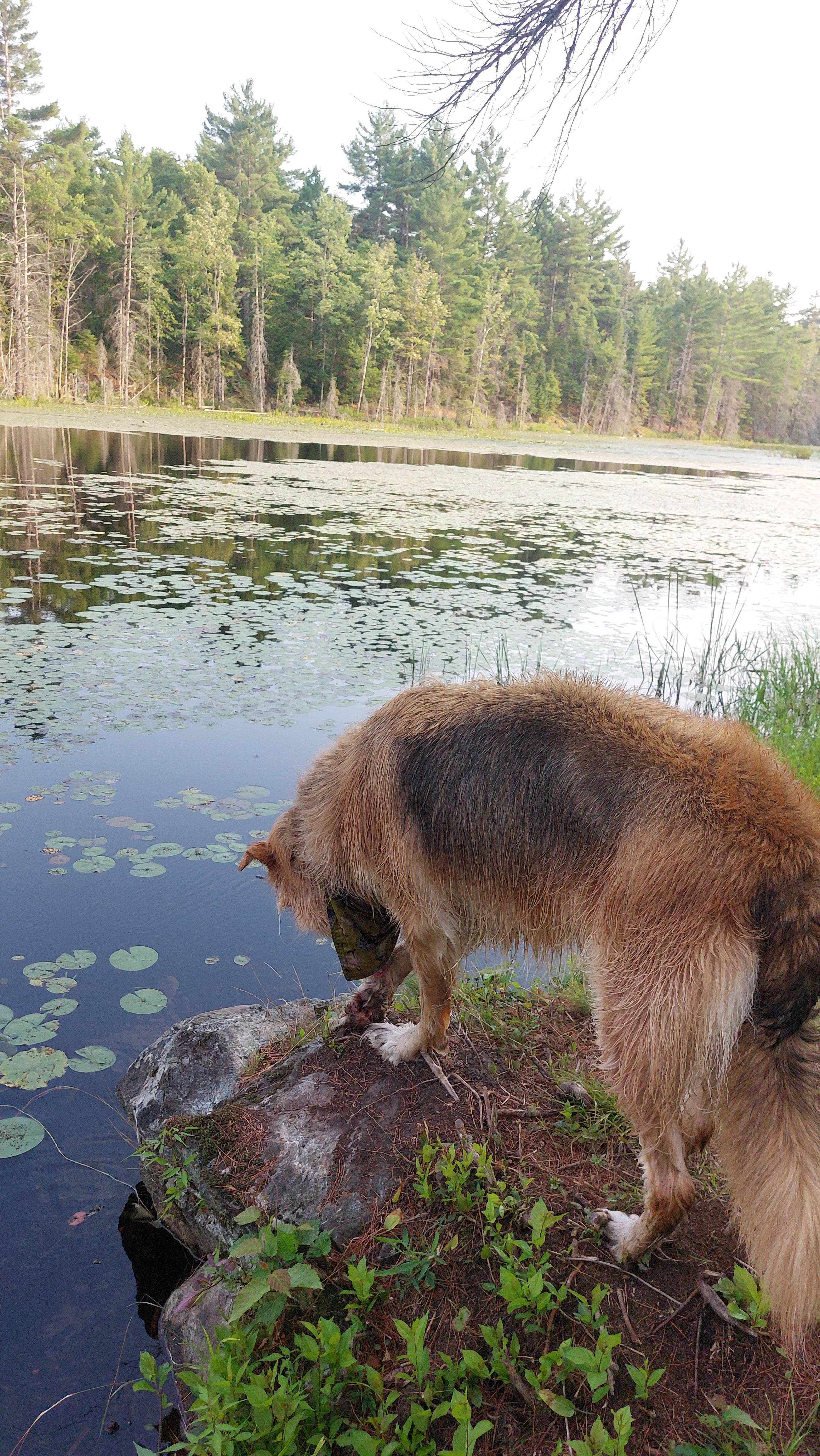 Hemlock Point Campground
