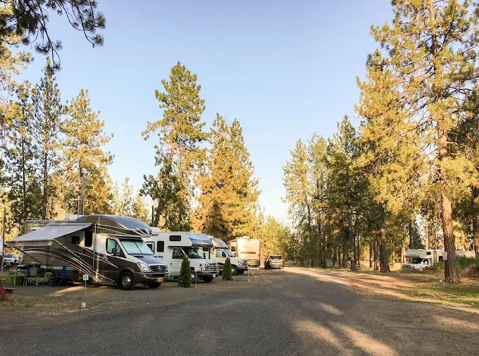Peaceful Pines RV Park & Campground