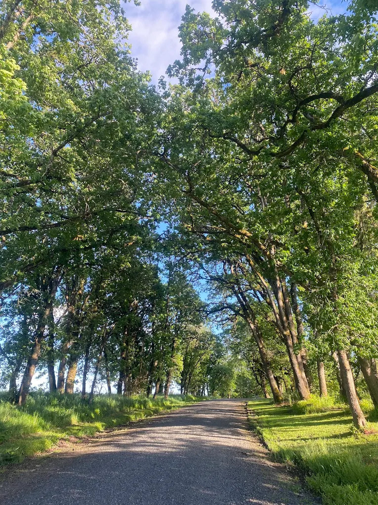 Emerald Valley RV Park