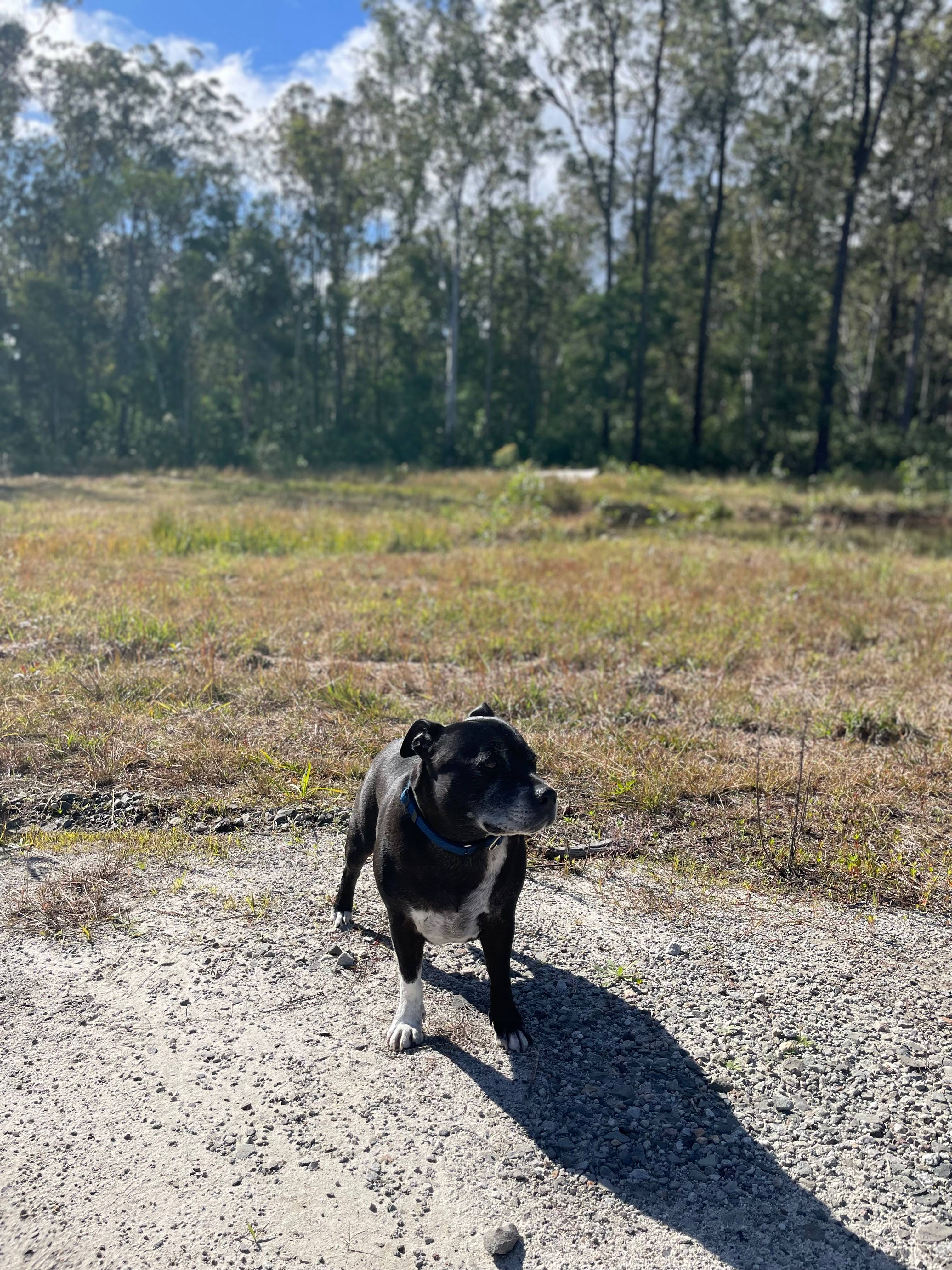 Tea Tree Tops Campground