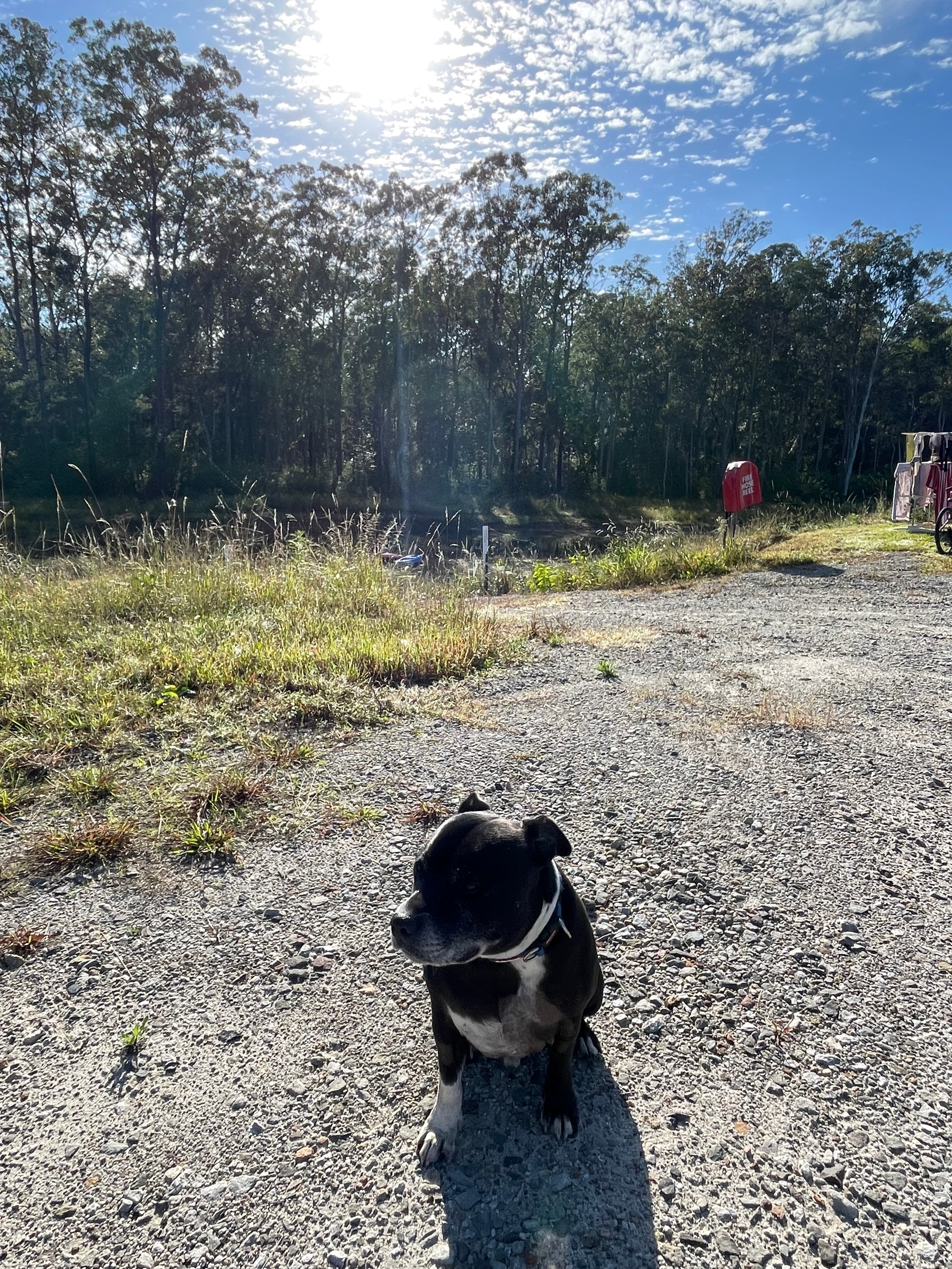 Tea Tree Tops Campground