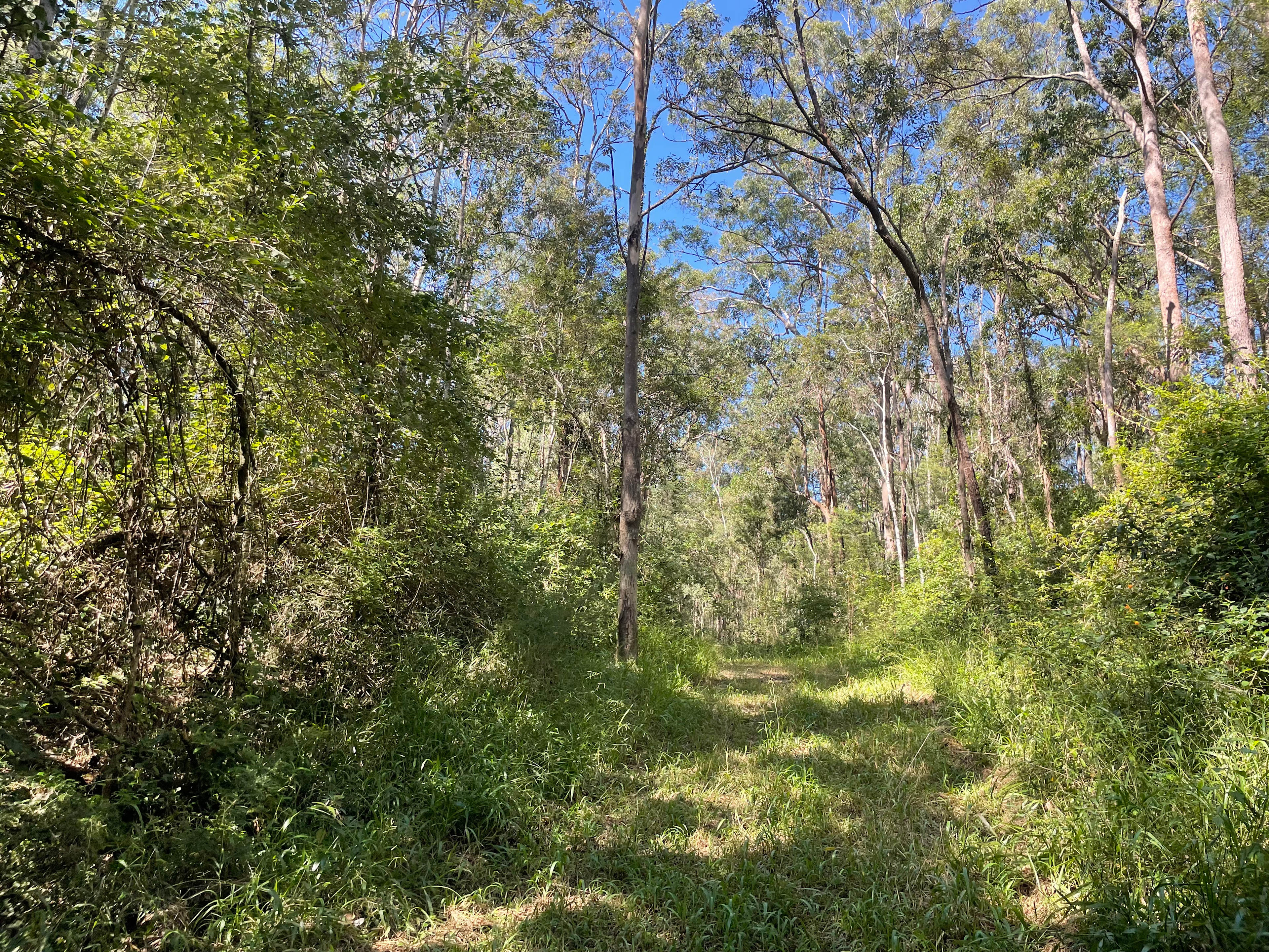 Tea Tree Tops Campground