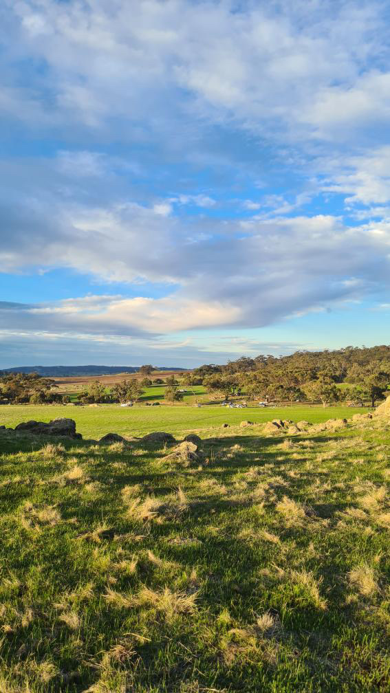 Peaceful Valley Farm