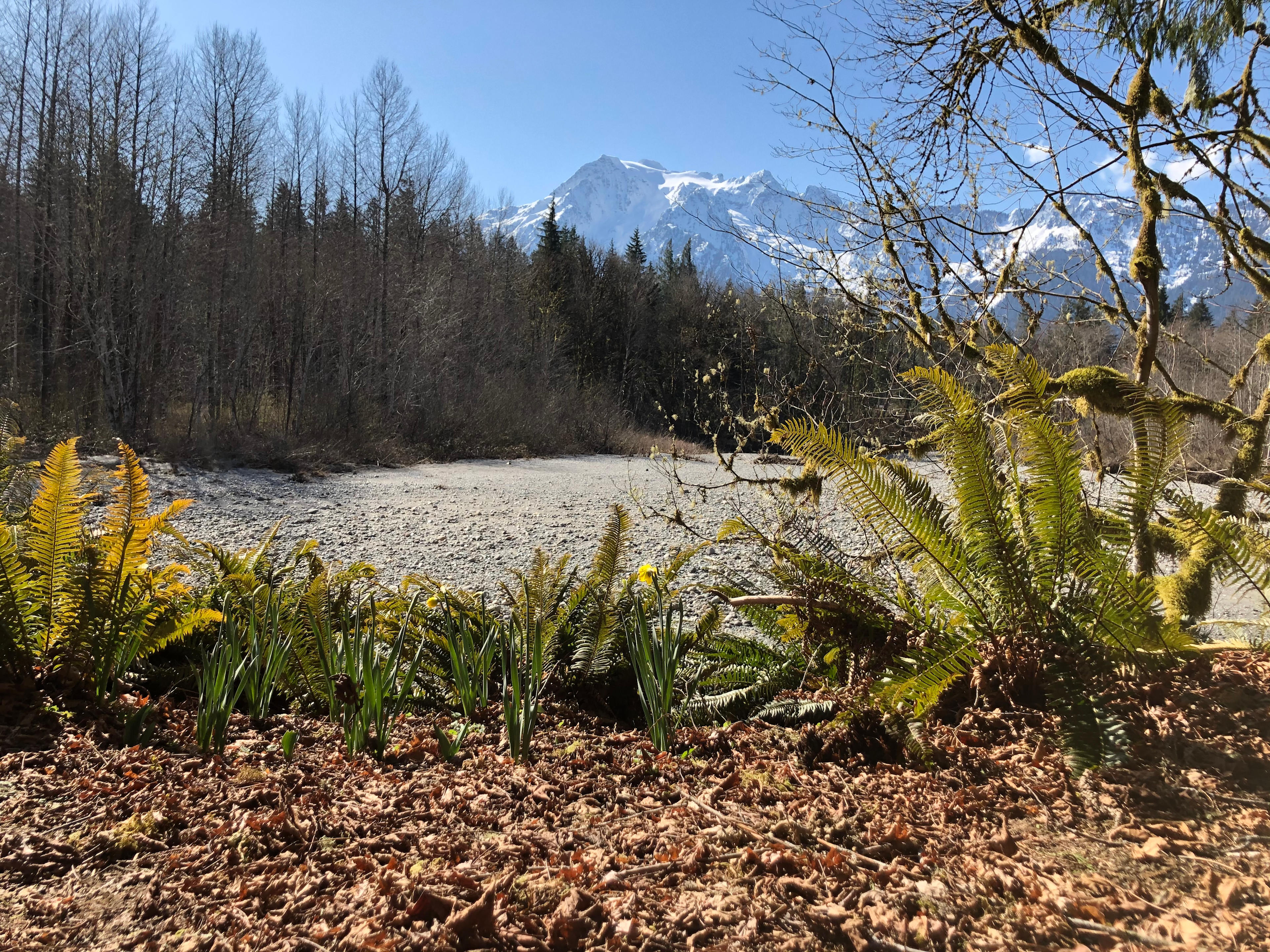 North Stilly River Yurt