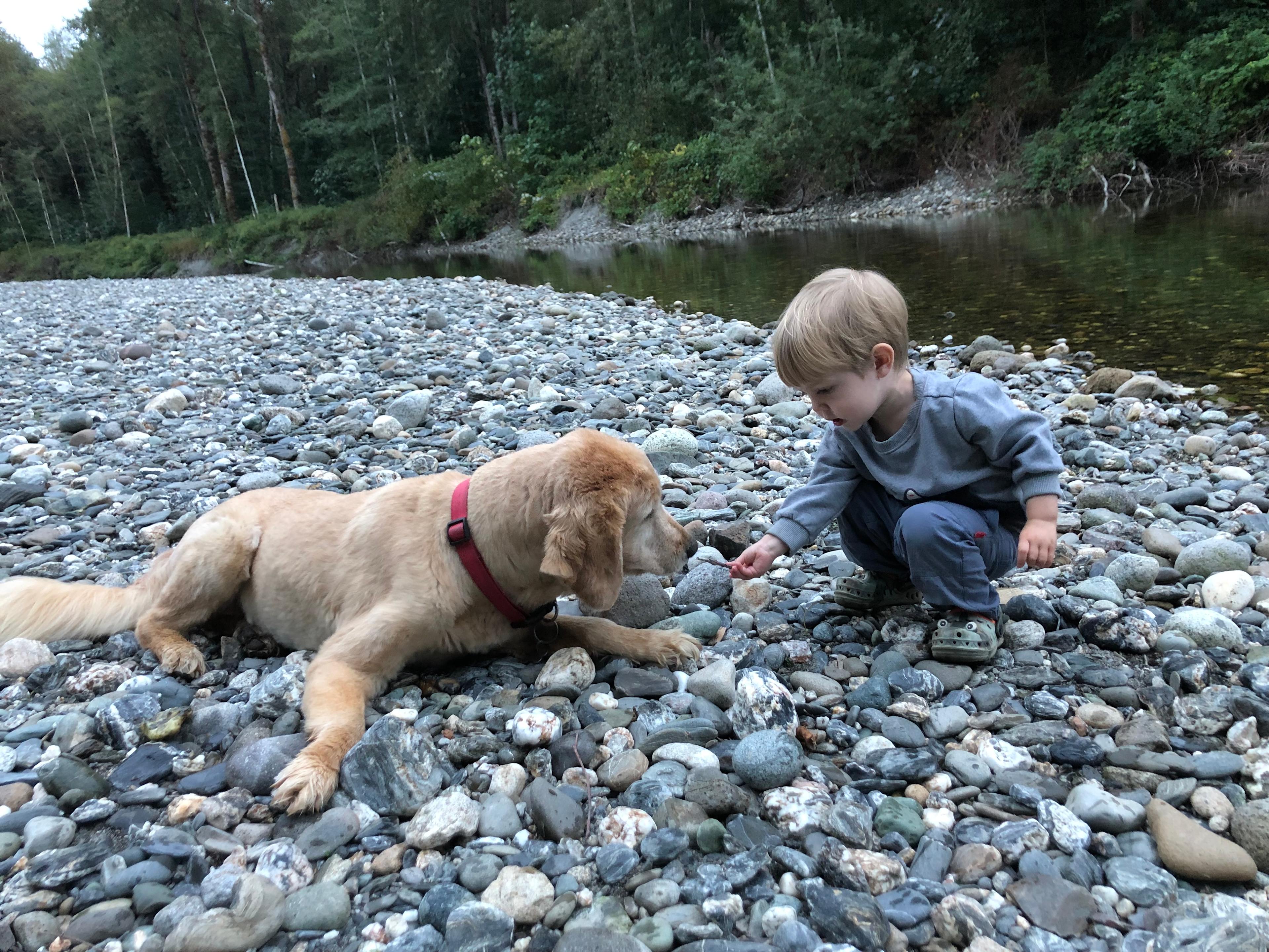 North Stilly River Yurt