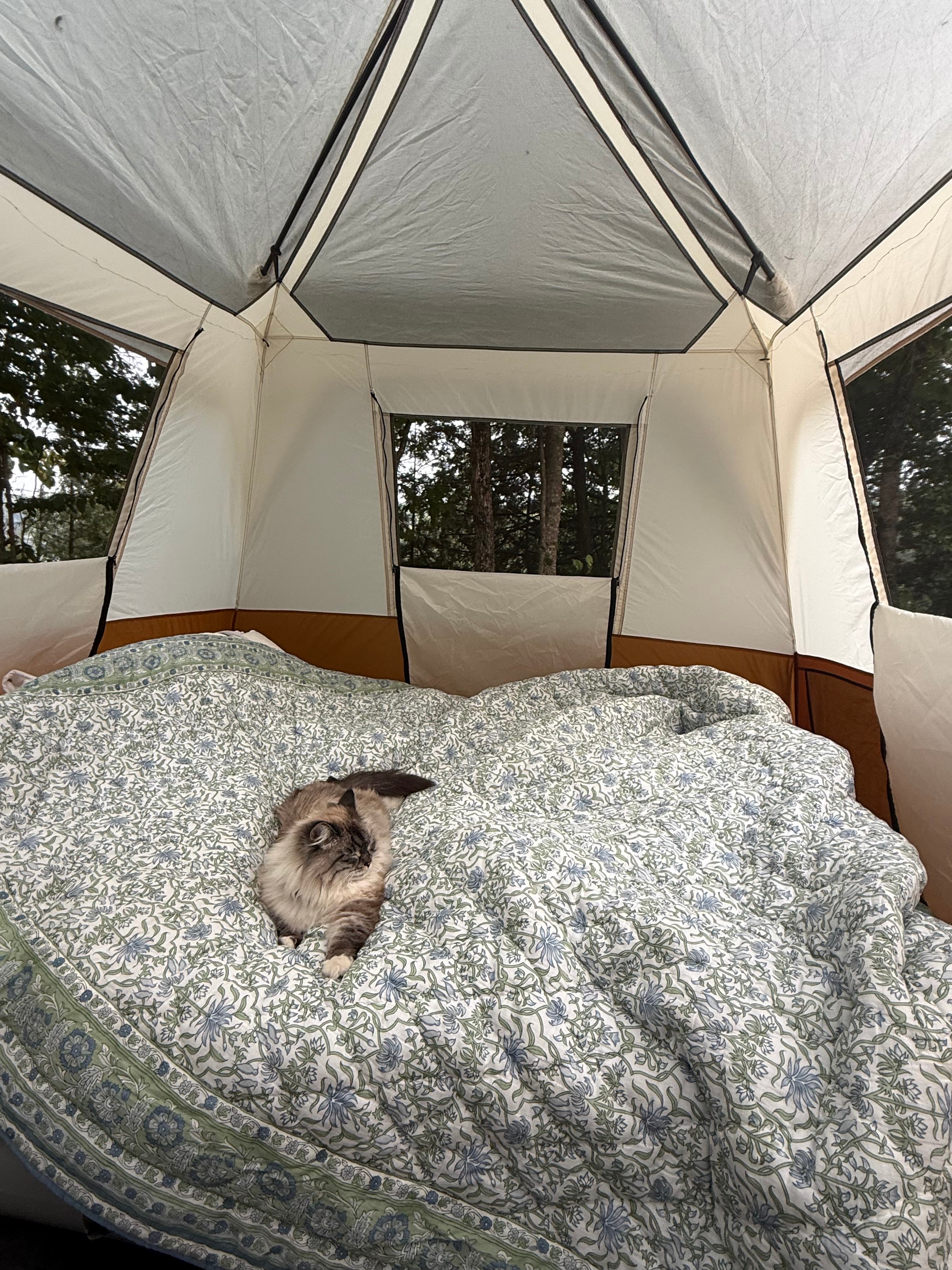 Tiny Village Woodland