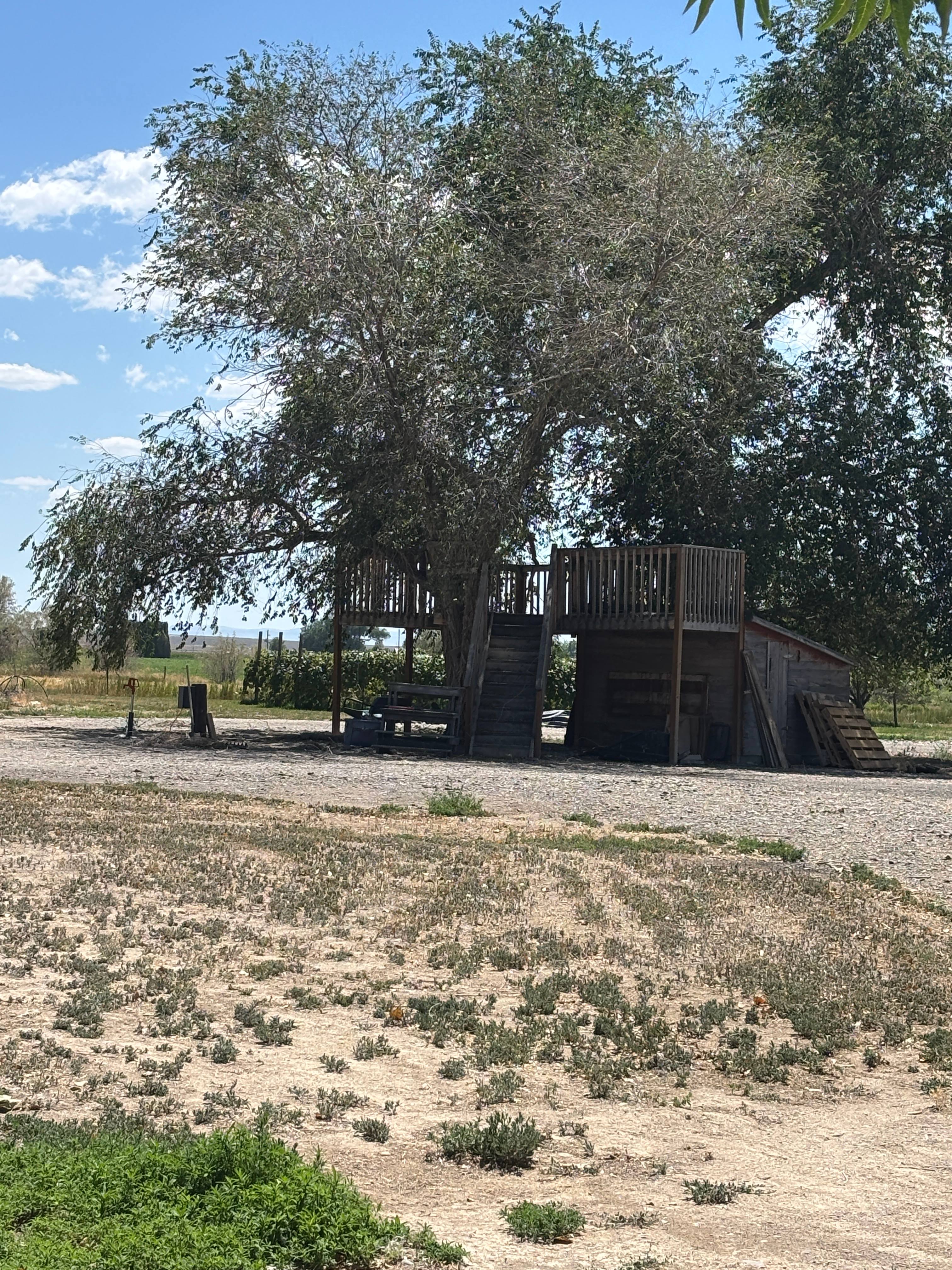 The Hess Hobby Farm