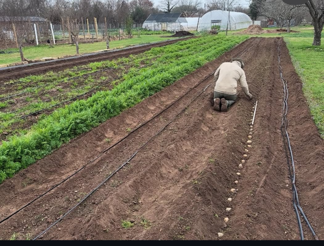 Eden East Farm