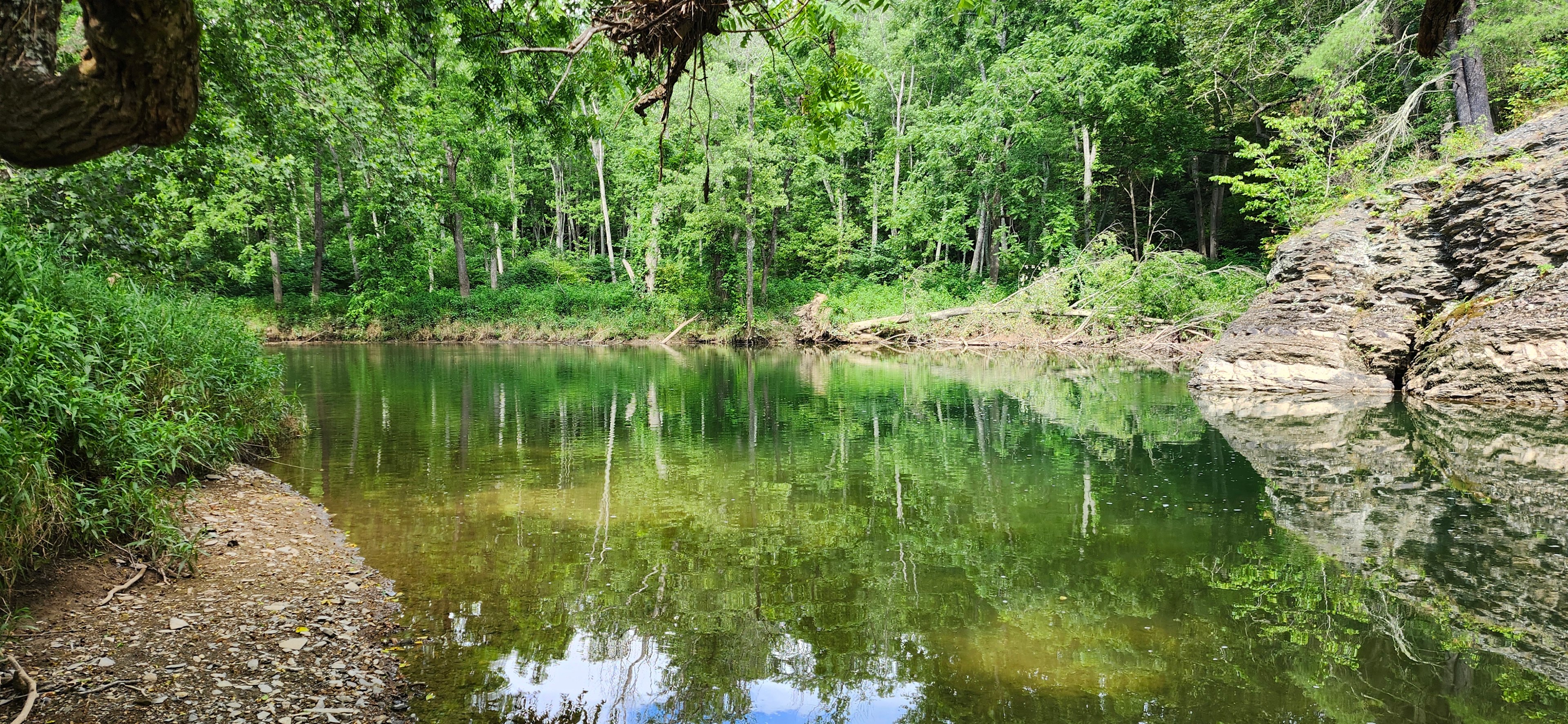 Zeke's Town Creek Camp--Swim/Fish