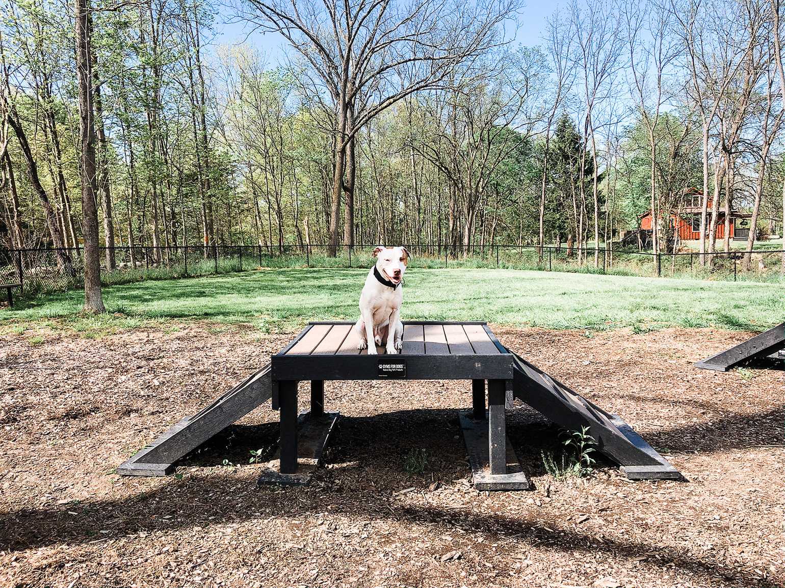 Yogi Bear's Jellystone Park™ Camp-Resort: Gardiner
