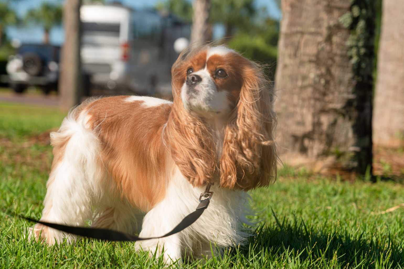 Sun Outdoors Panama City Beach