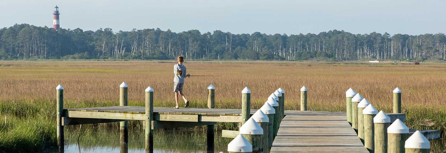 Yogi Bear's Jellystone Park™ Camp-Resort: Chincoteague Island